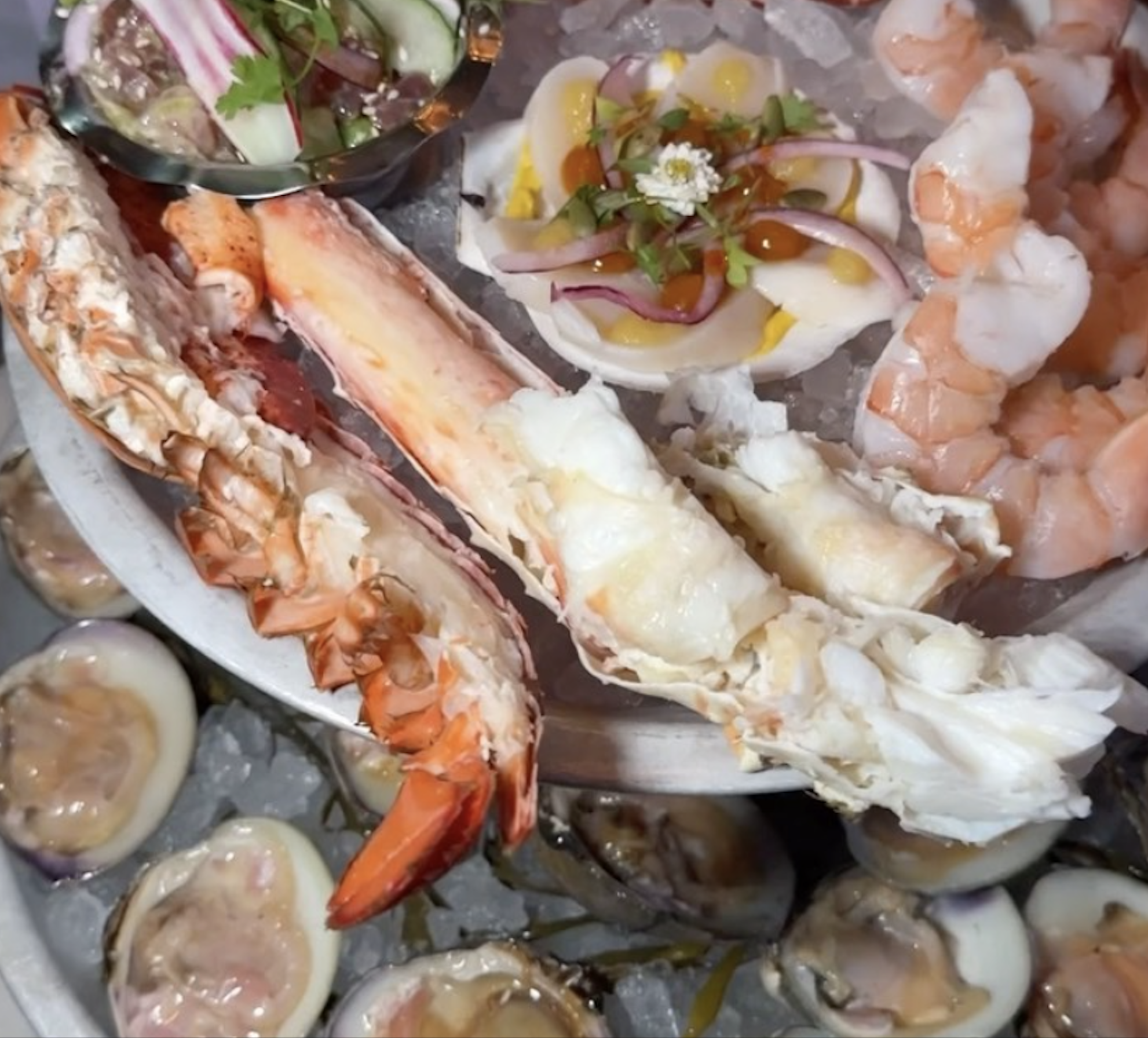 A spread of raw seafood, that includes lobsters, claims, oysters over an ice bed. 