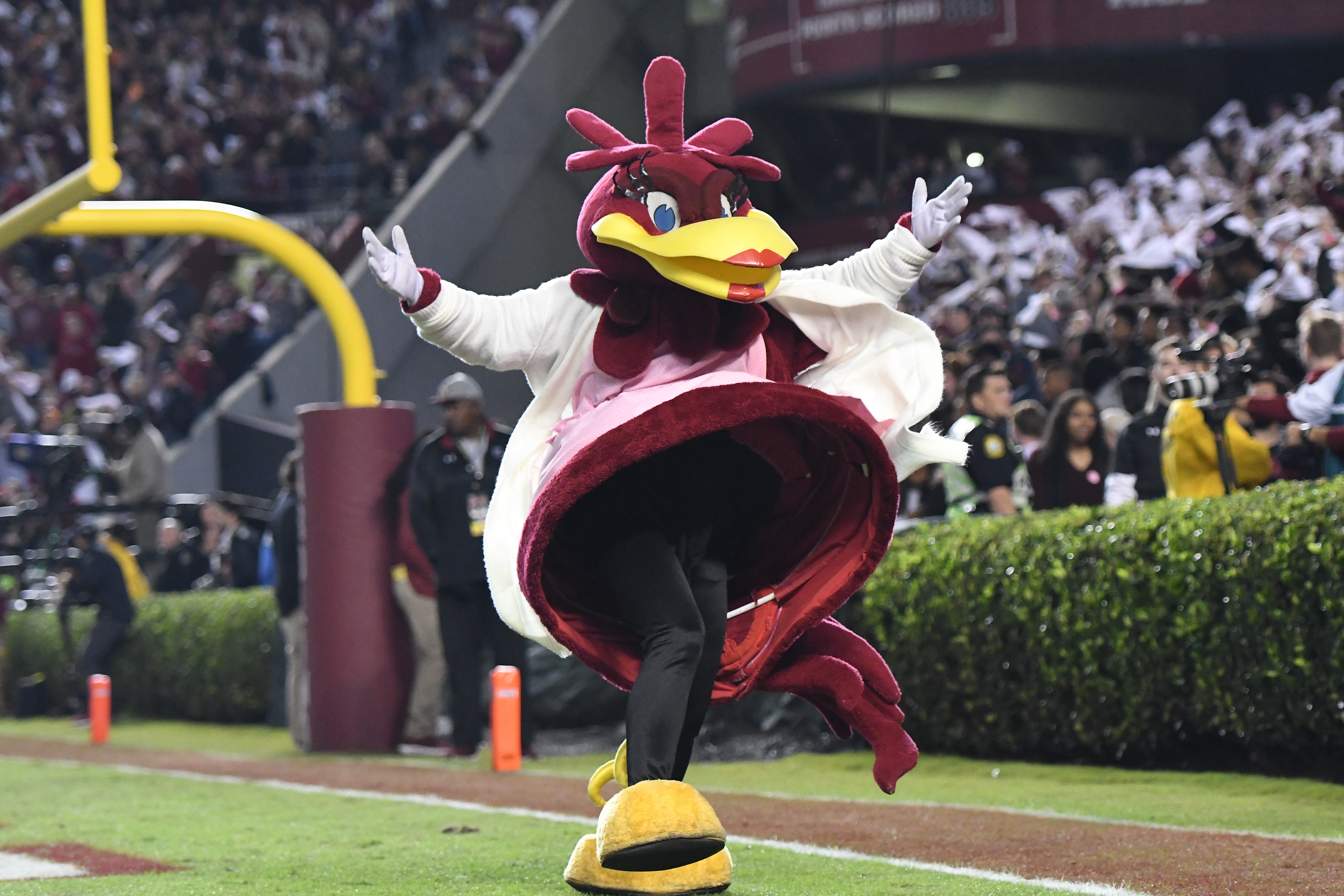 COLLEGE FOOTBALL: OCT 27 Tennessee at South Carolina