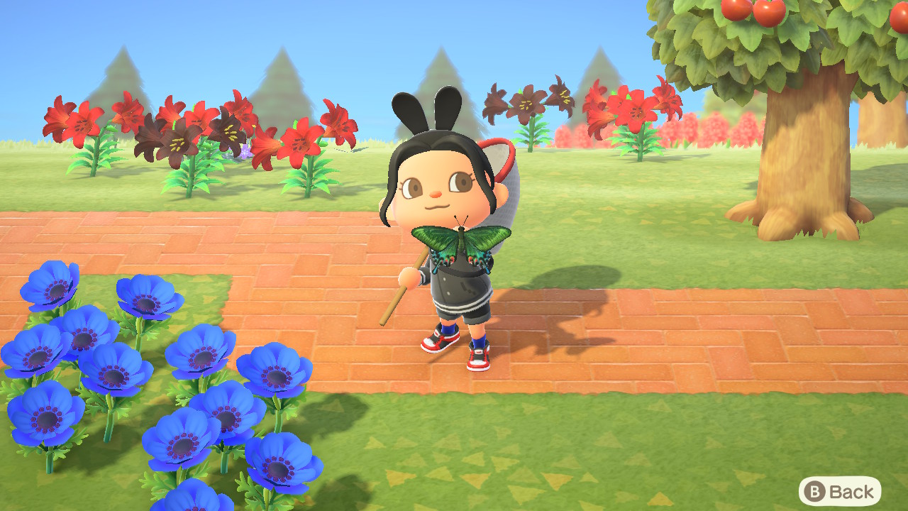 An Animal Crossing character holds up a butterfly