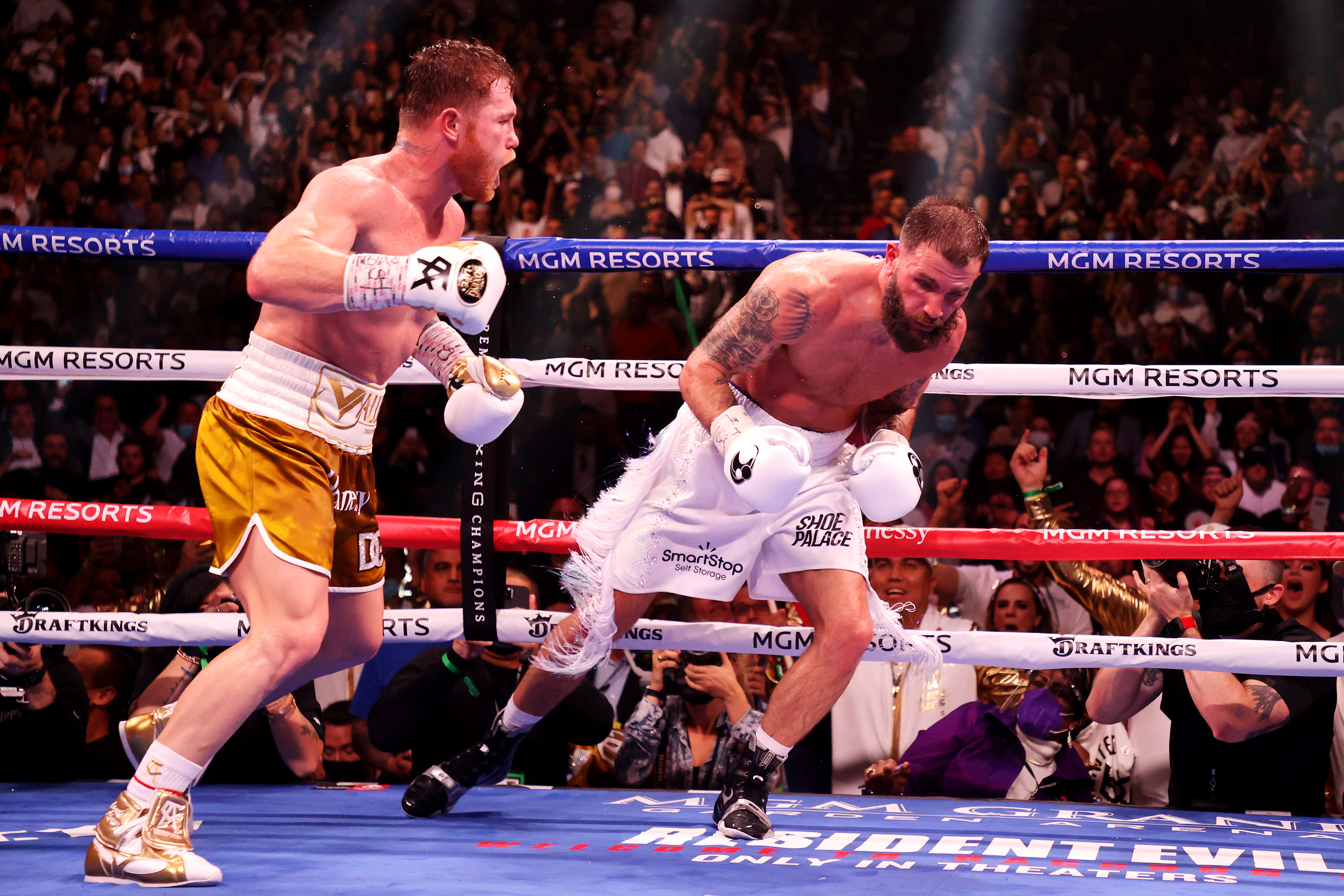 Canelo Alvarez lands a punch on Caleb Plant during their title fight on Saturday.