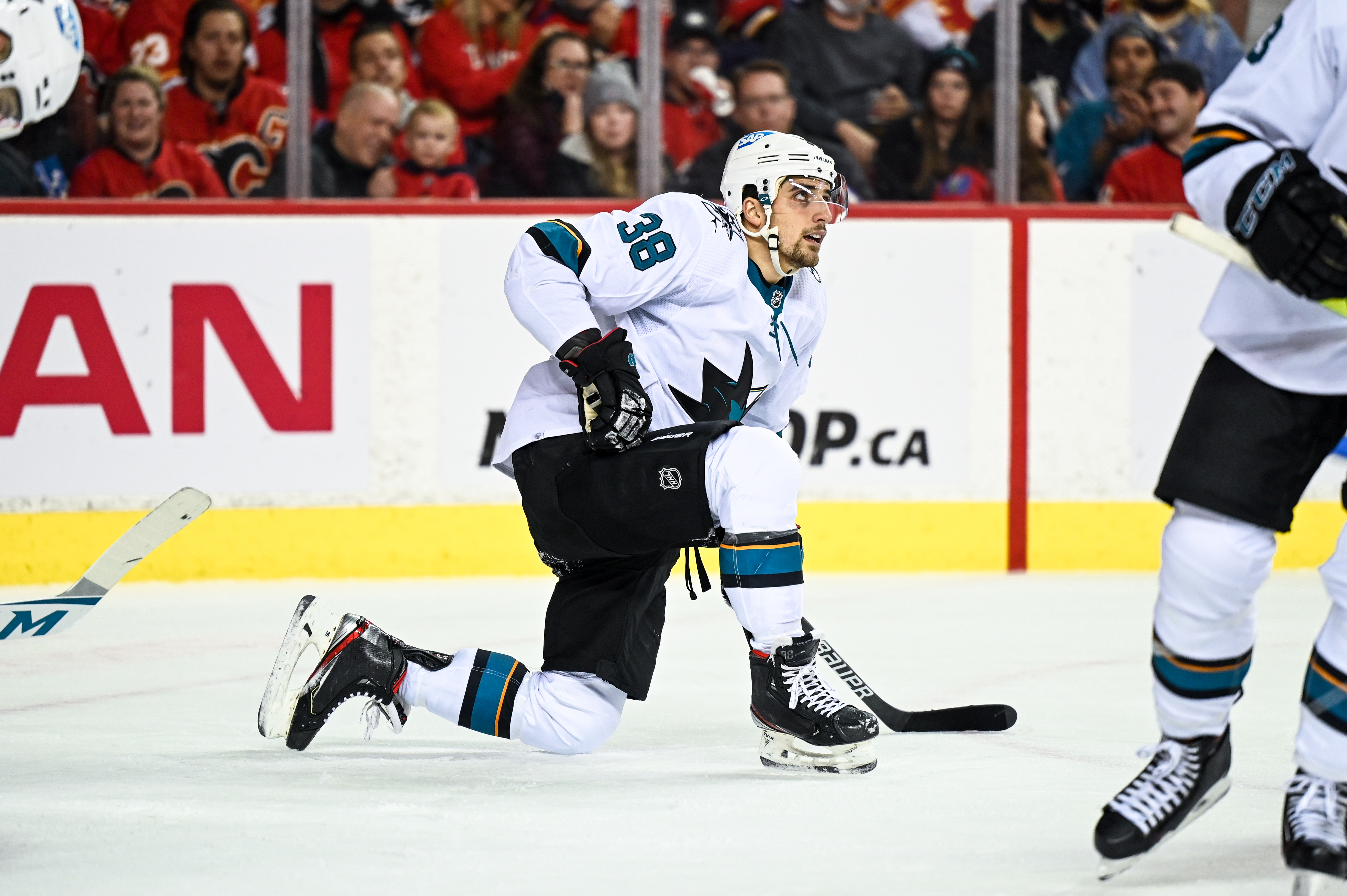 San Jose Sharks Defenceman Mario Ferraro (38) looks on after a whistle during the second period of an NHL game where the Calgary Flames hosted the San Jose Sharks on November 9, 2021, at the Scotiabank Saddledome in Calgary, AB.