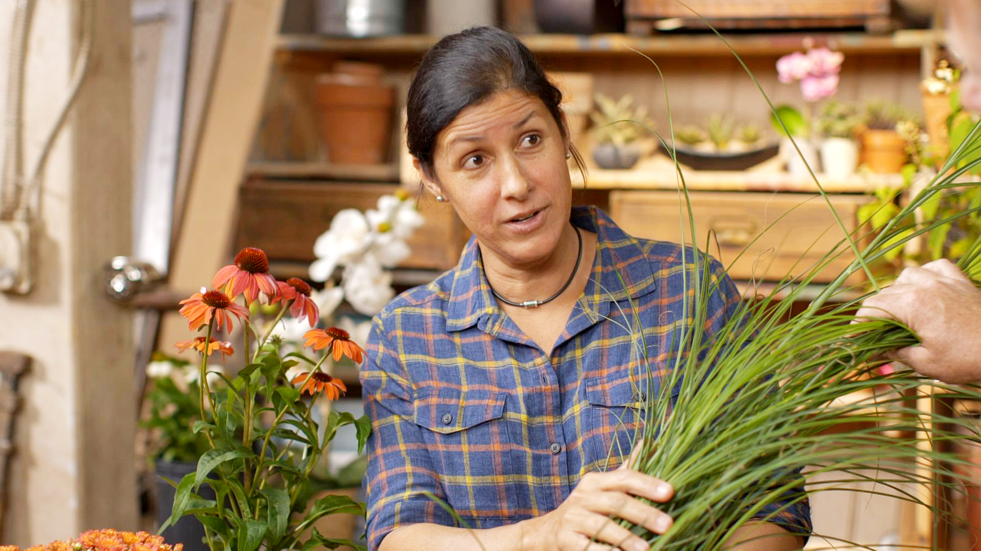 S20 E7, Jenn Nawada discusses protecting plants from cold weather