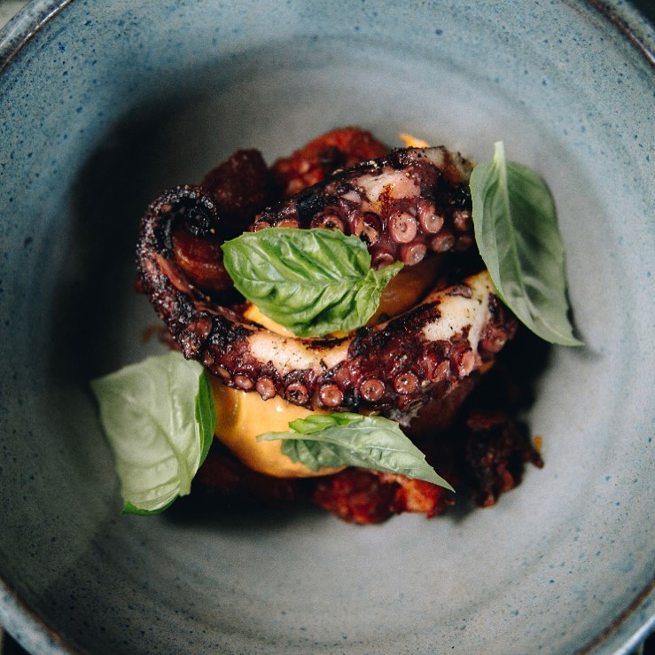 octopus with basil in blue bowl