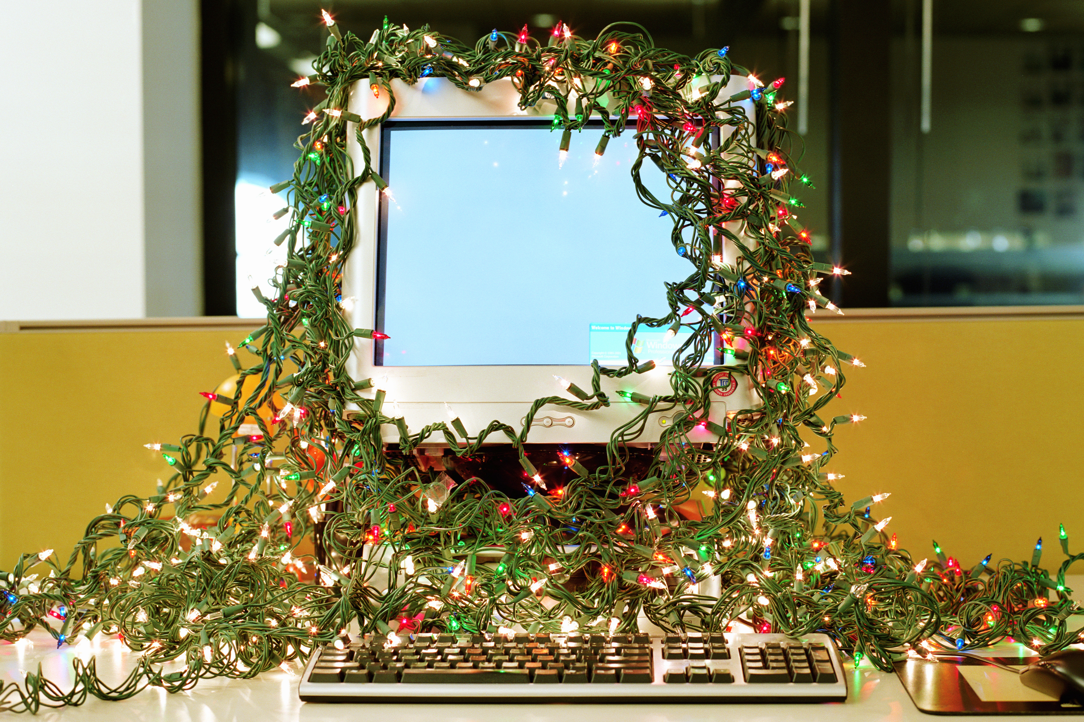 A computer in an office cubicle, covered in strings of holiday twinkle lights.