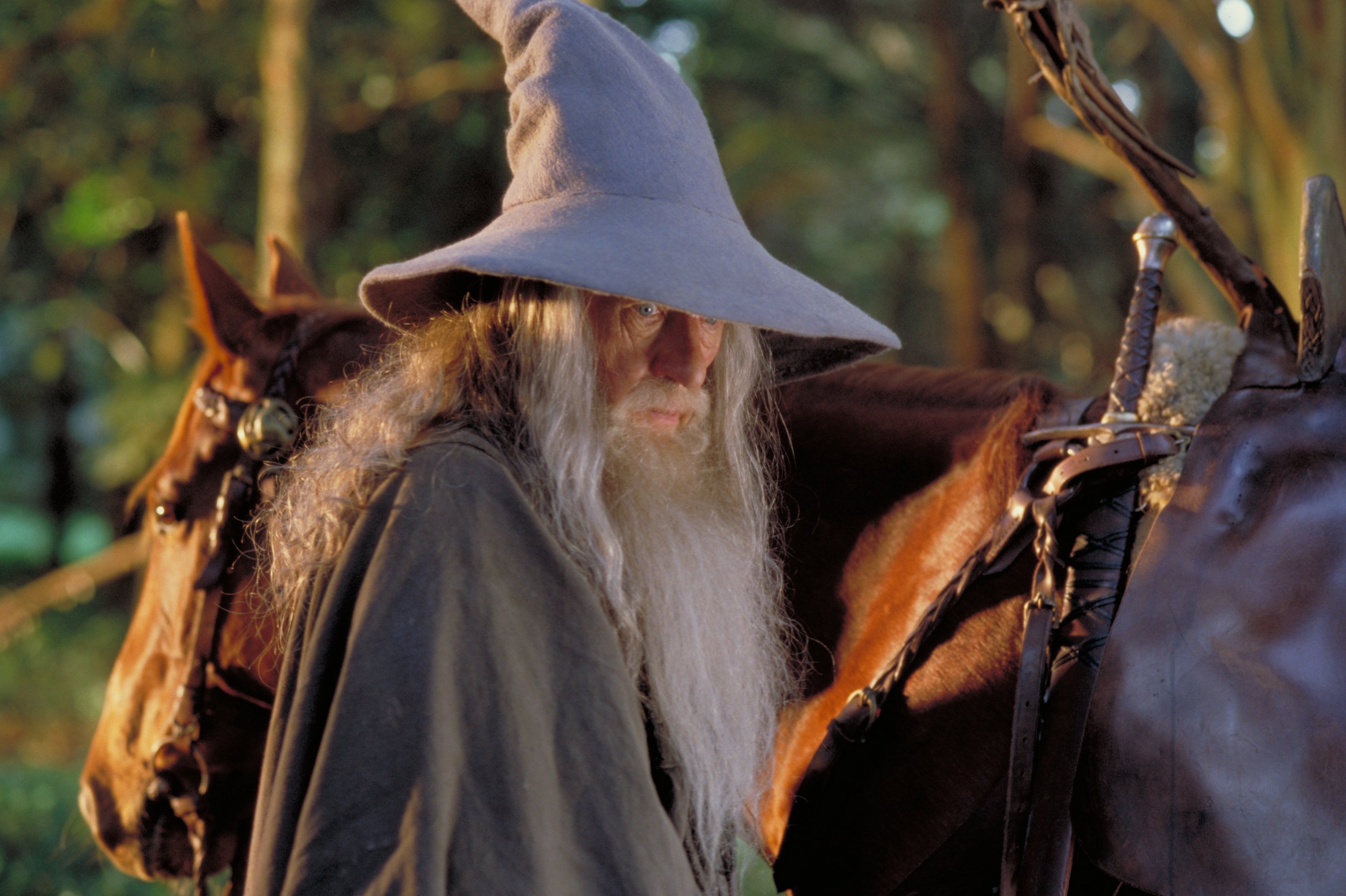 Gandalf standing next to a brown horse in The Lord of the Rings: The Fellowship of the Ring