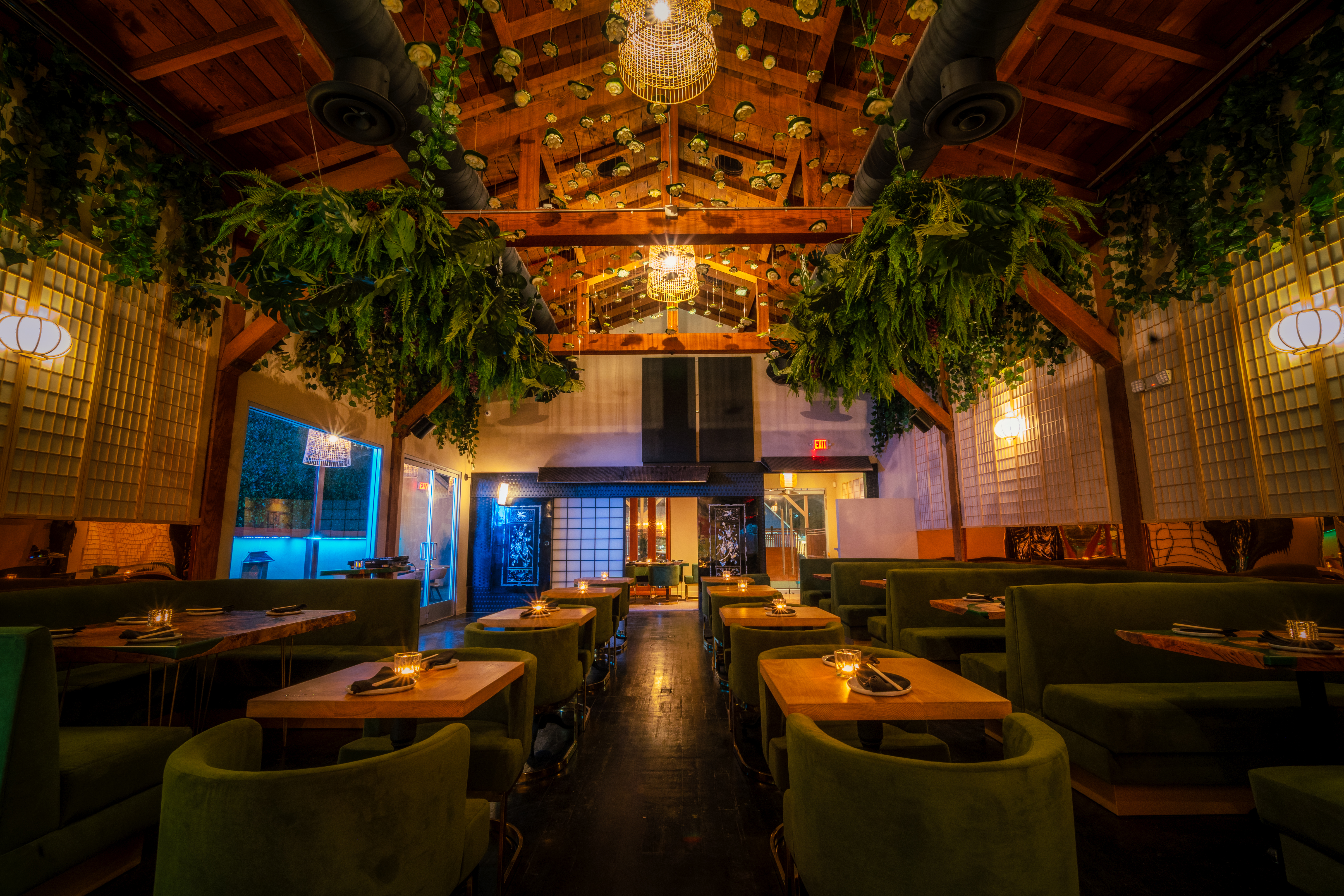 Onizuka West Hollywood with dim lights, hanging greenery, and dark green booths.