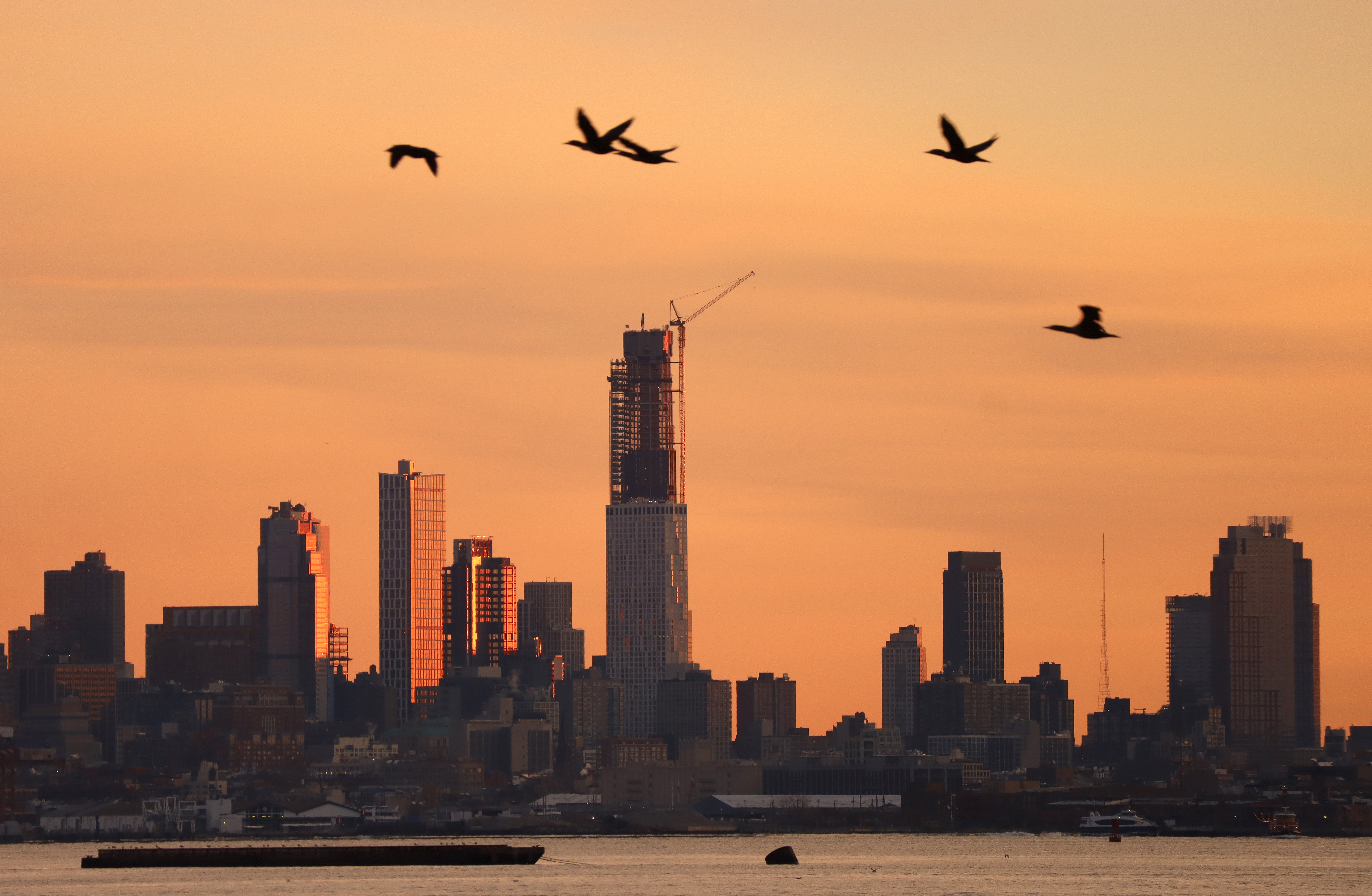 The sun rises behind the skyline of Brooklyn and the Brooklyn Tower in New York City as geese fly past.