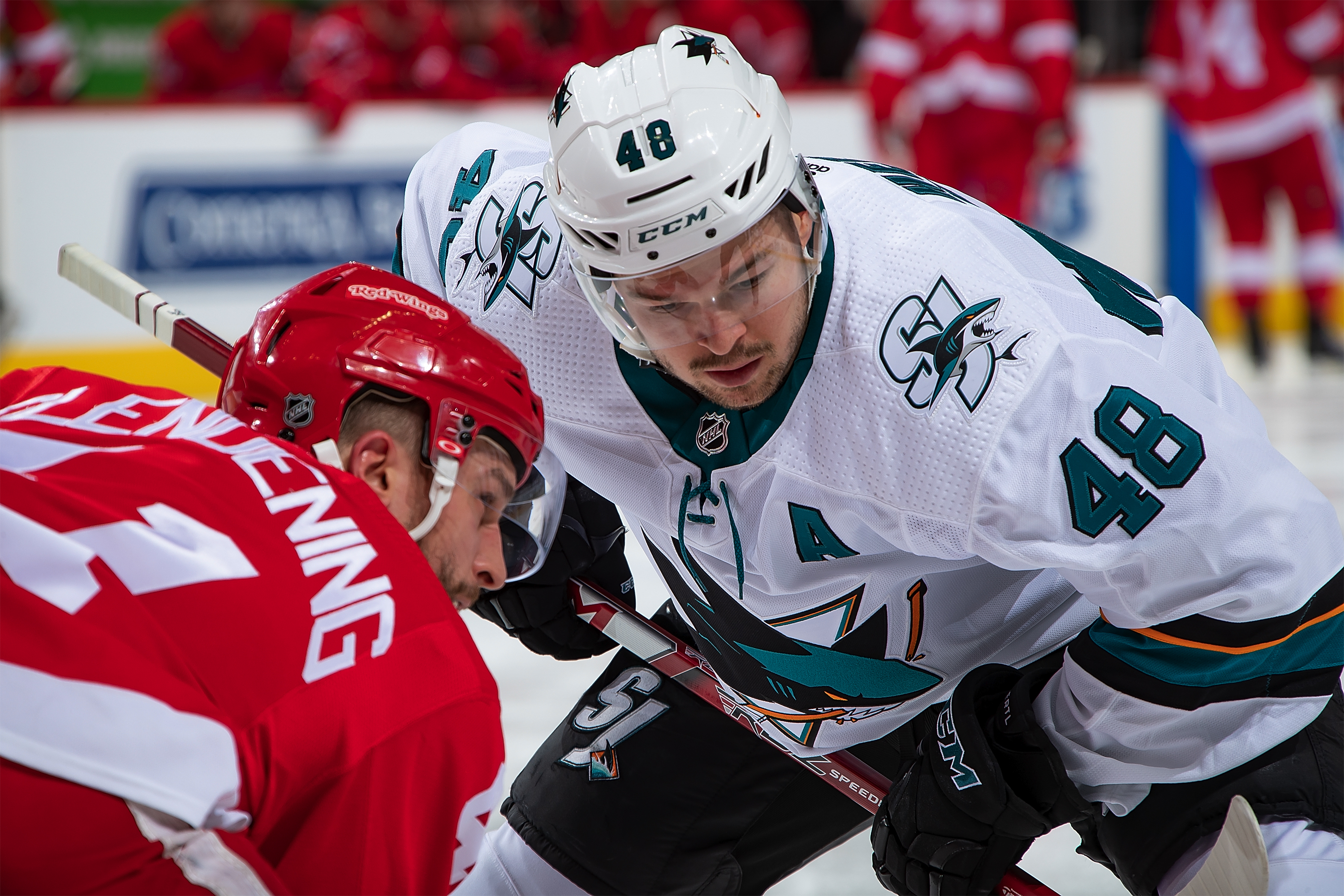 Tomas Hertl #48 of the San Jose Sharks faces off against Luke Glendening #41 of the Detroit Red Wings during an NHL game at Little Caesars Arena on December 31, 2019 in Detroit, Michigan. The Wings defeated the Sharks 2-0.