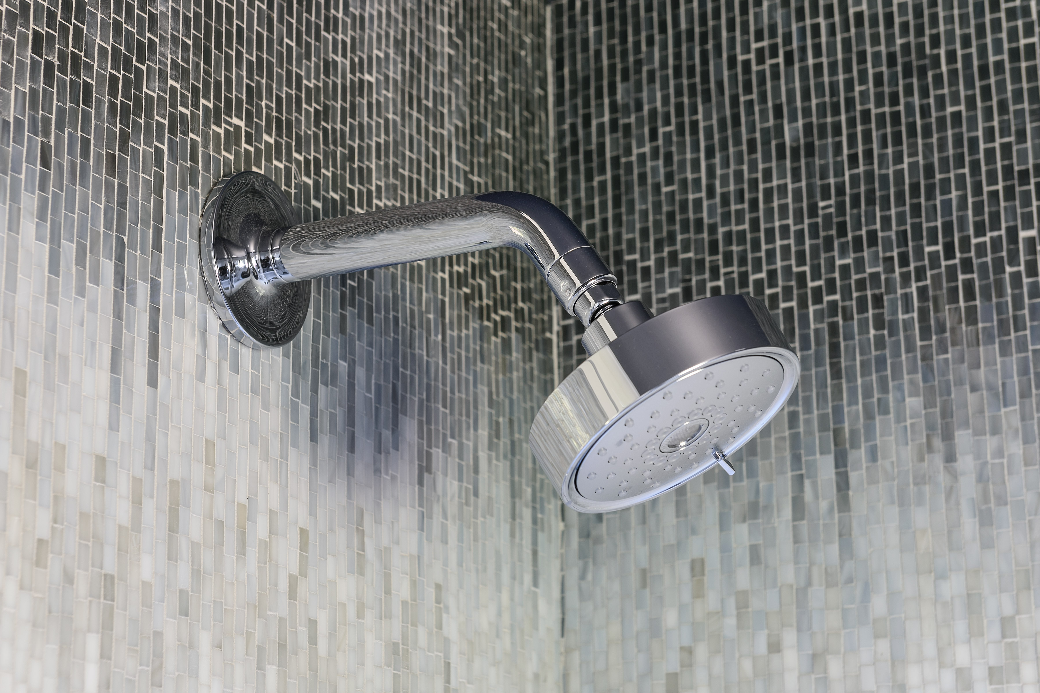 A clean silver shower head in a mosaic shower.