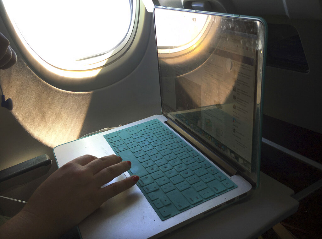 A passenger uses a laptop.