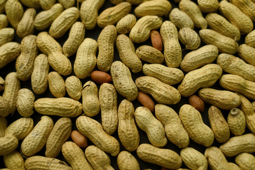 An arrangement of peanuts in New York.