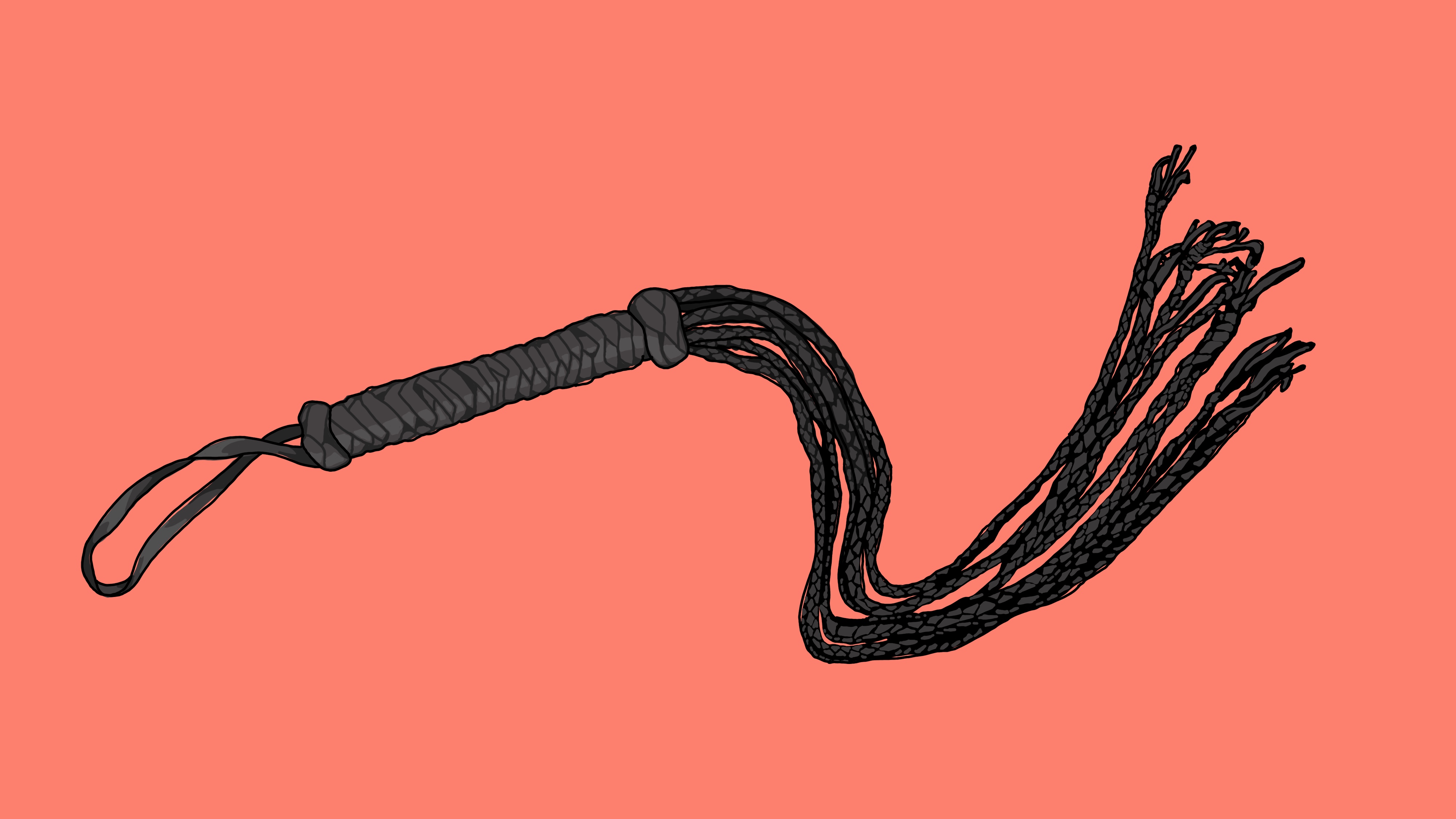 A black whip on a reddish background.