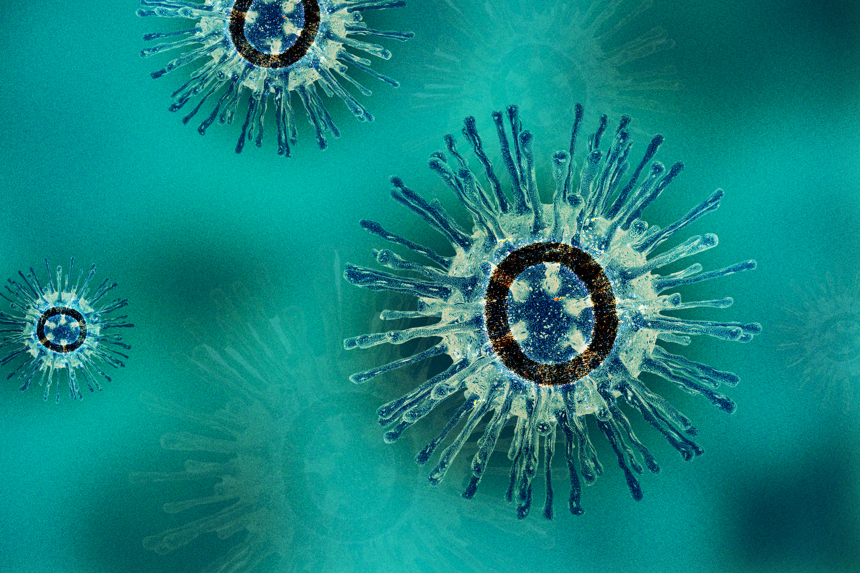 An illustration of the omicron variant of the coronavirus.
