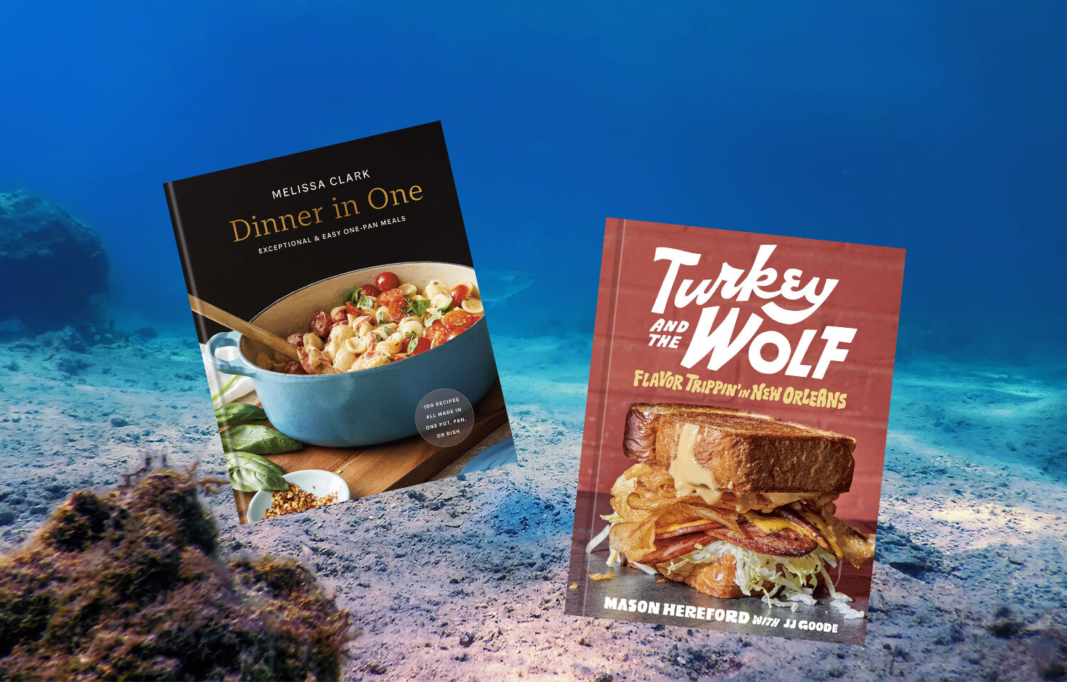 A photoshopped image depicting two cookbooks against an oceanic background.