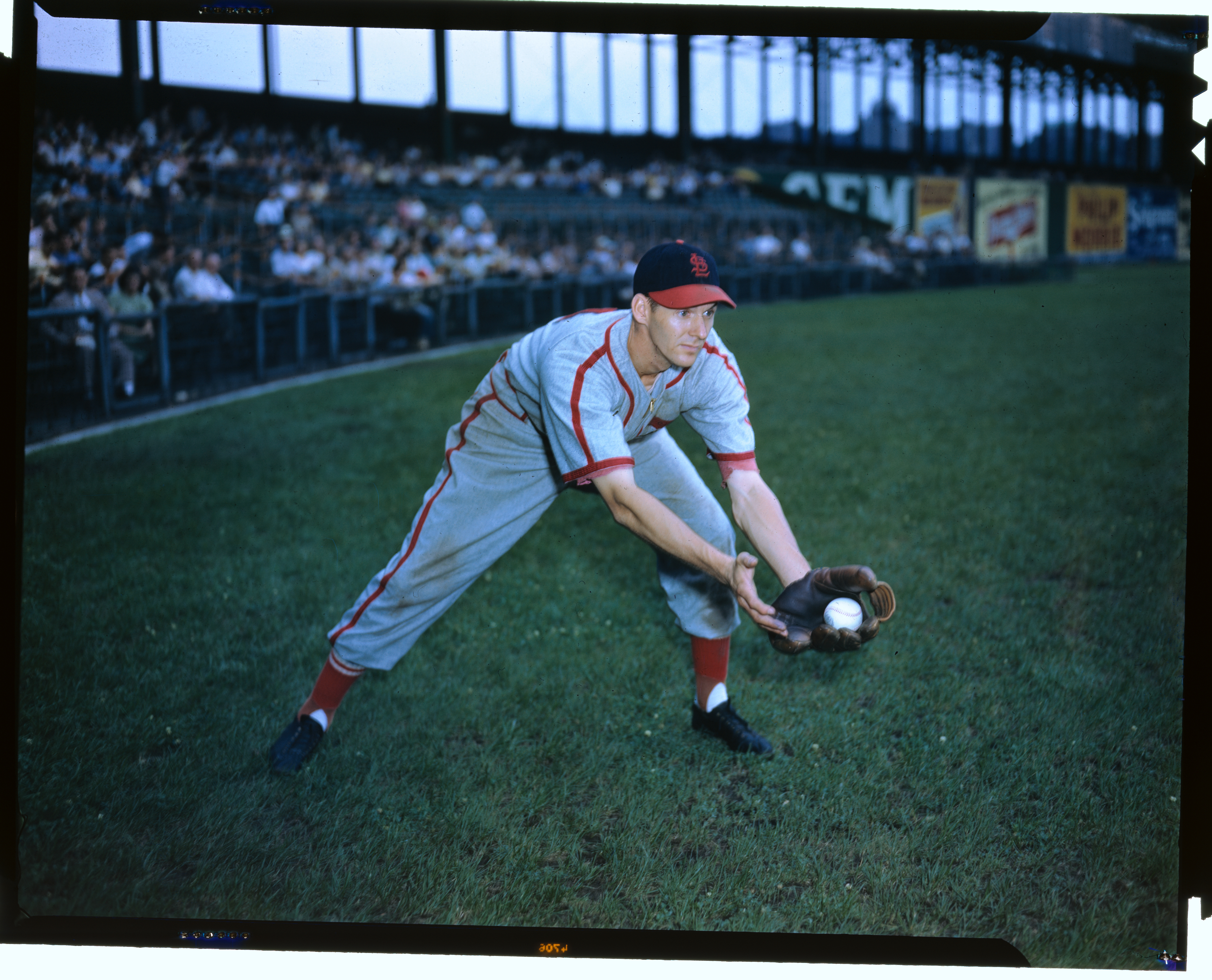 Martin Marion Fielding a Baseball in Game