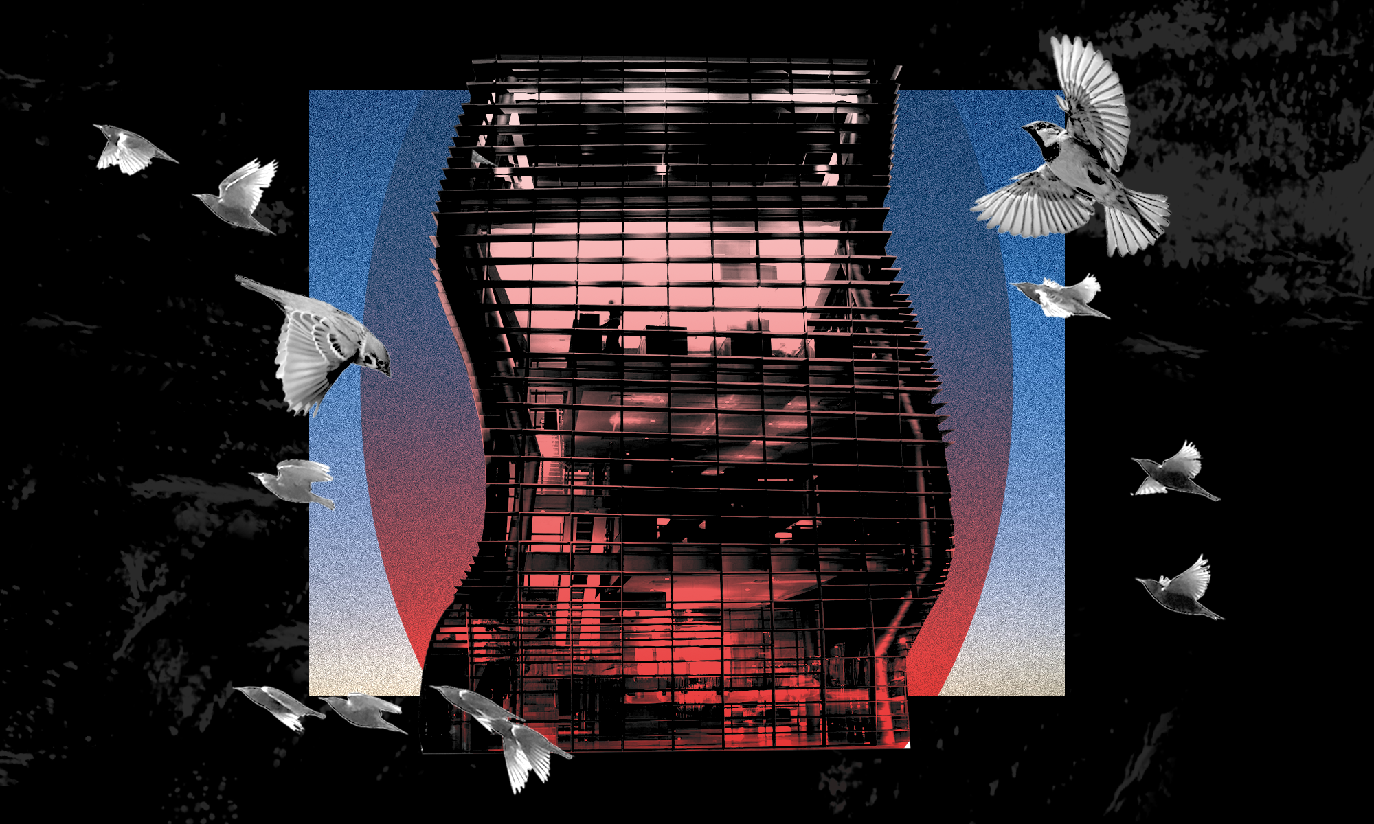 A collage-like graphic of an undulating glass and metal tower with a wavy structure standing against a blue sky, framed by a black background and with birds flying around it. 