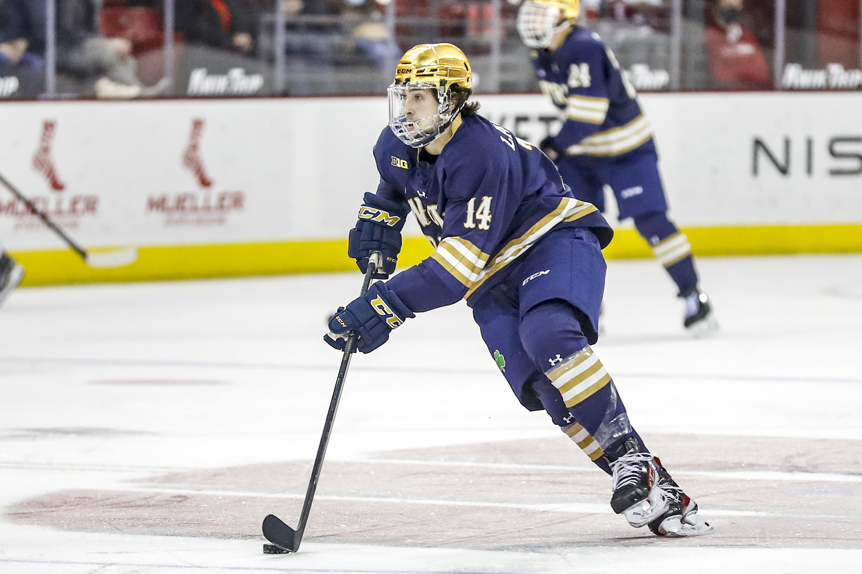 COLLEGE HOCKEY: FEB 12 Notre Dame at Wisconsin