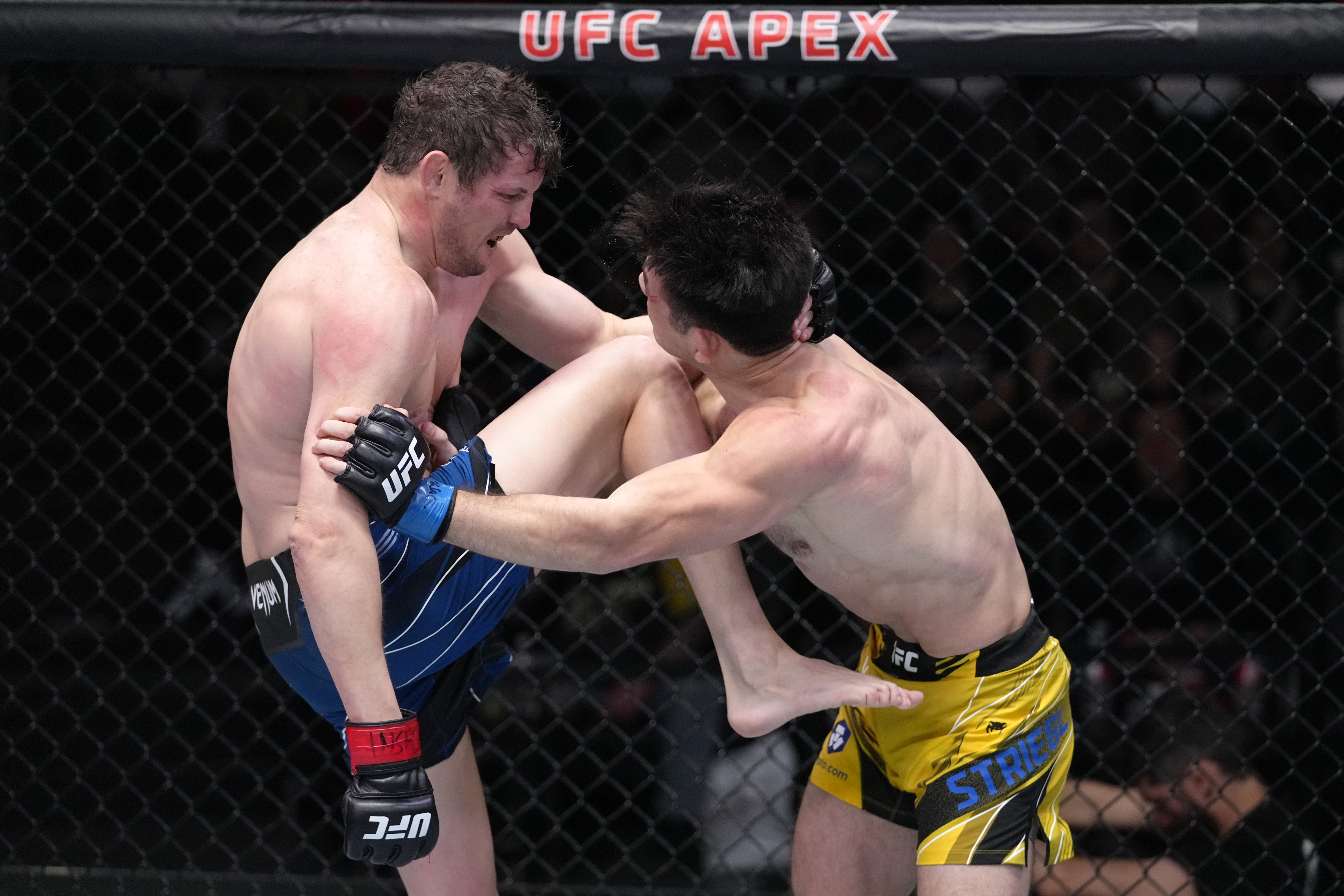 Chas Skelly finished Mark Striegl in his final MMA fight at UFC Vegas 48