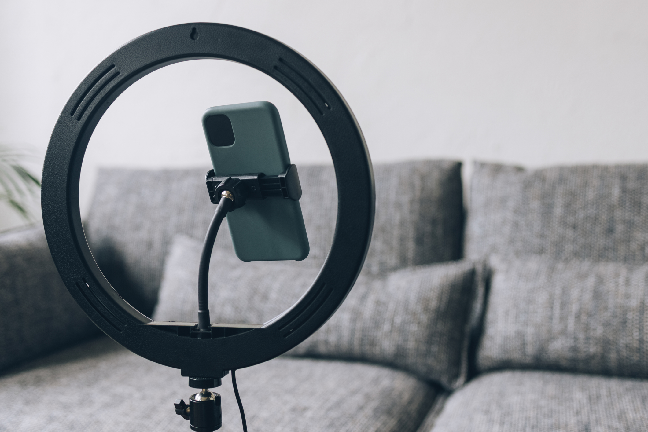 A cellphone on a stand with a ring light, set up in front of a couch.