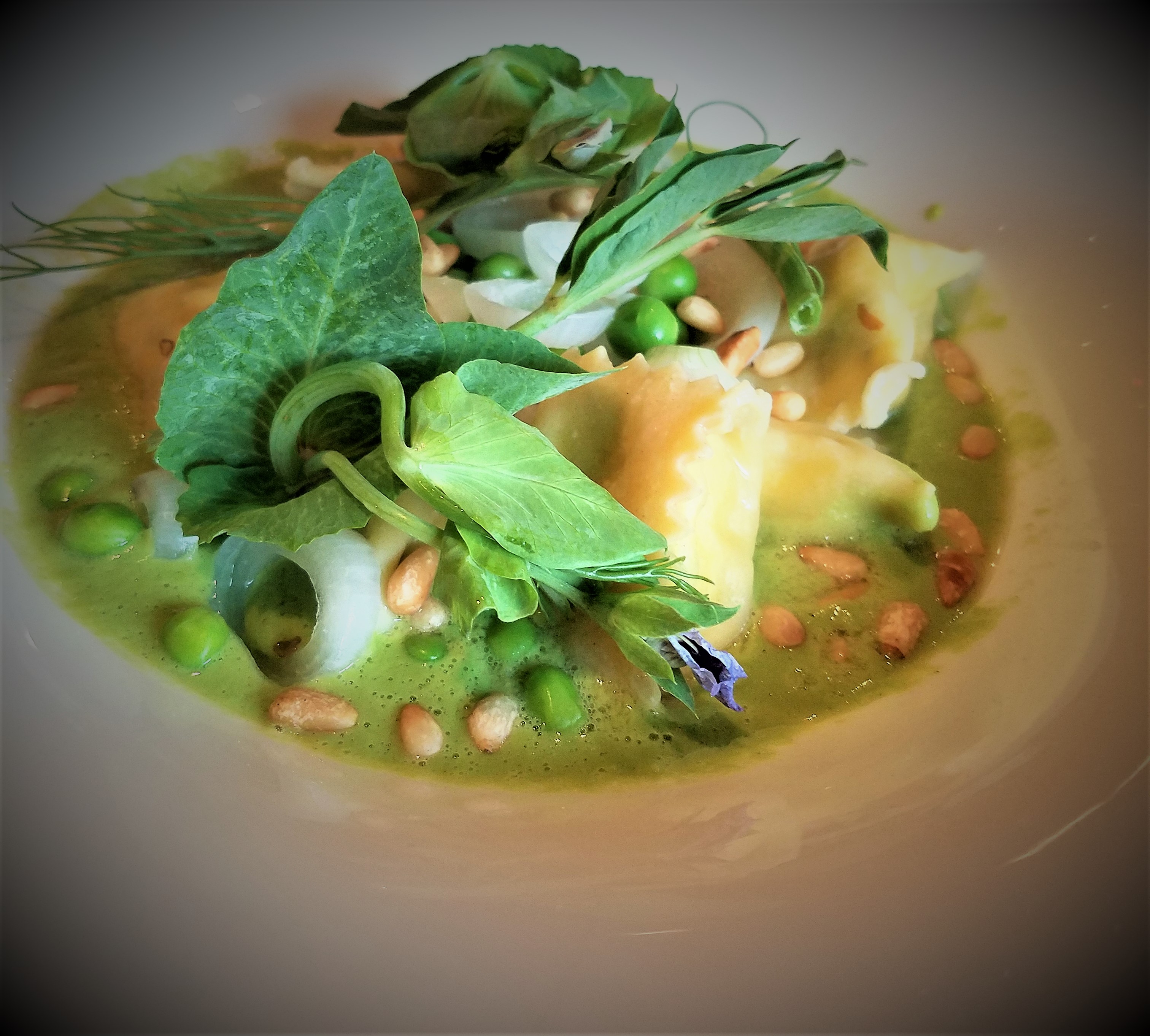 A dish of ravioli, beans, sprouts, greens, onions and a green broth in a white dish.
