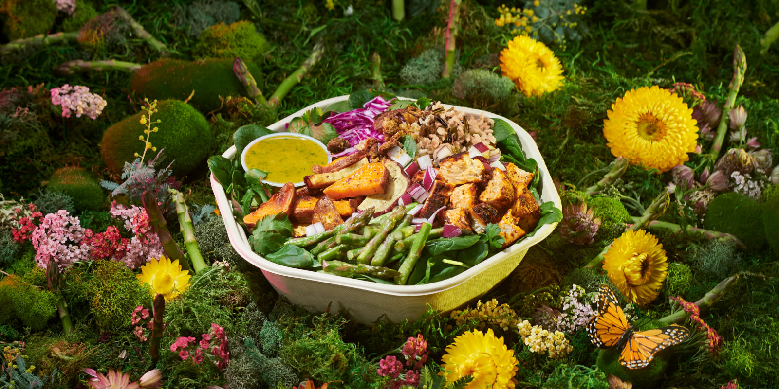A compostable bowl of salad with green beans, spinach, sweet potatoes, purple cabbage, mushrooms, greens and a small dish of salad dressing rests on a bed of dandelions, moss, flowers, and asparagus. A monarch butterfly is in the corner of the image.