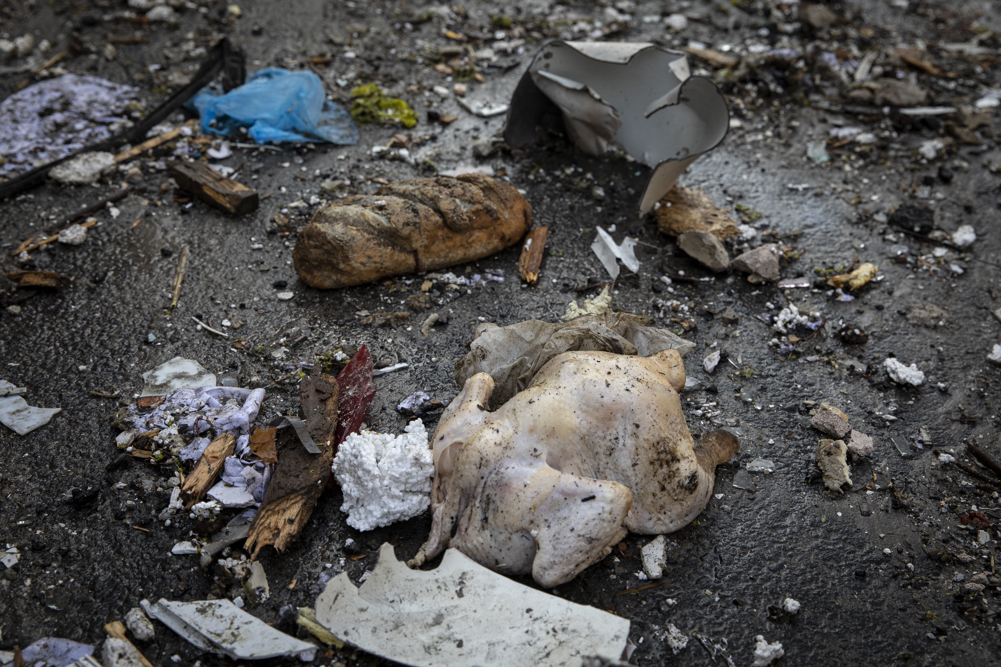 &nbsp;A chicken and pieces of bread seen in the debris caused by a Russian airstrike in Kharkiv.