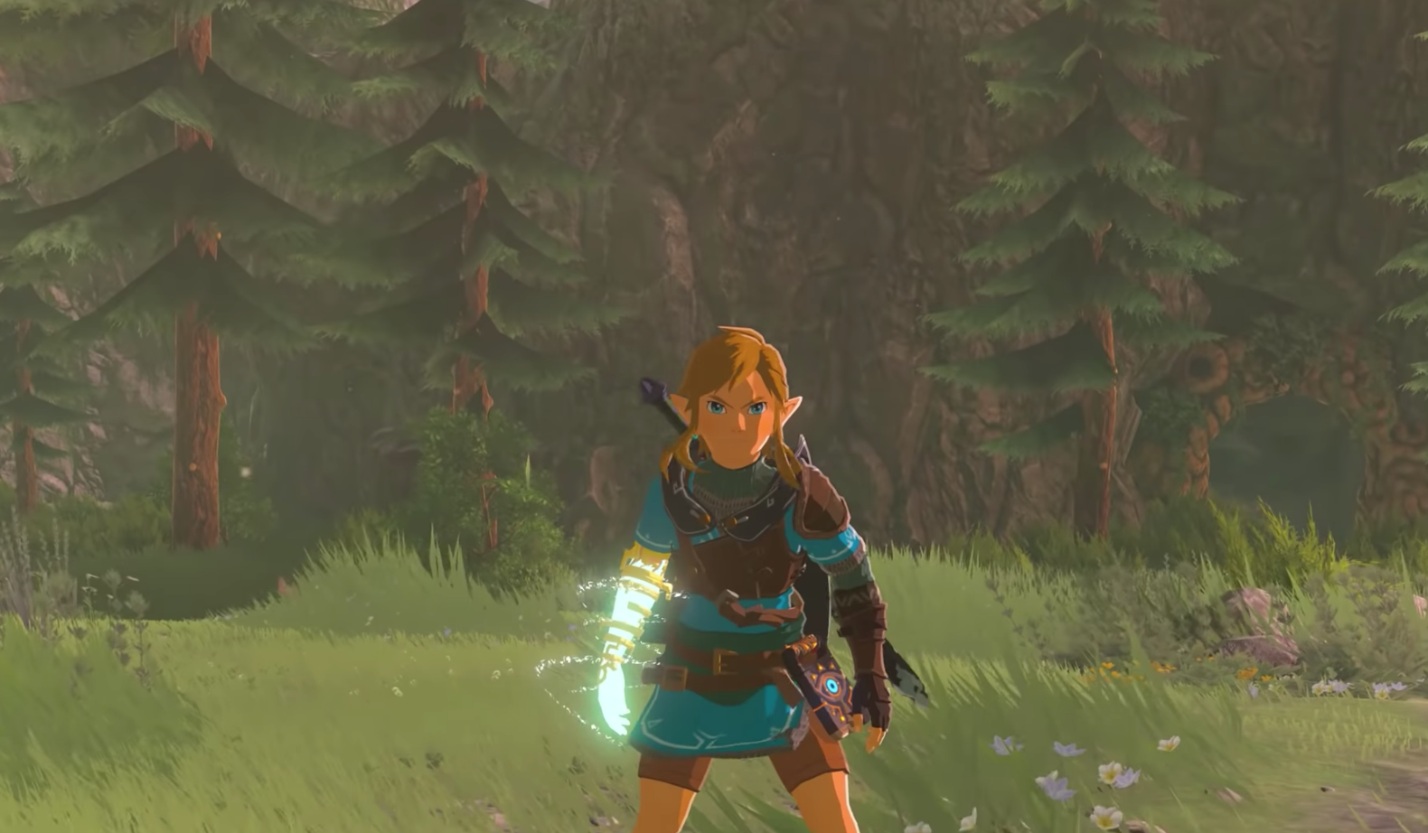 Link facing the viewer, in Legend of Zelda: Breath of the Wild
