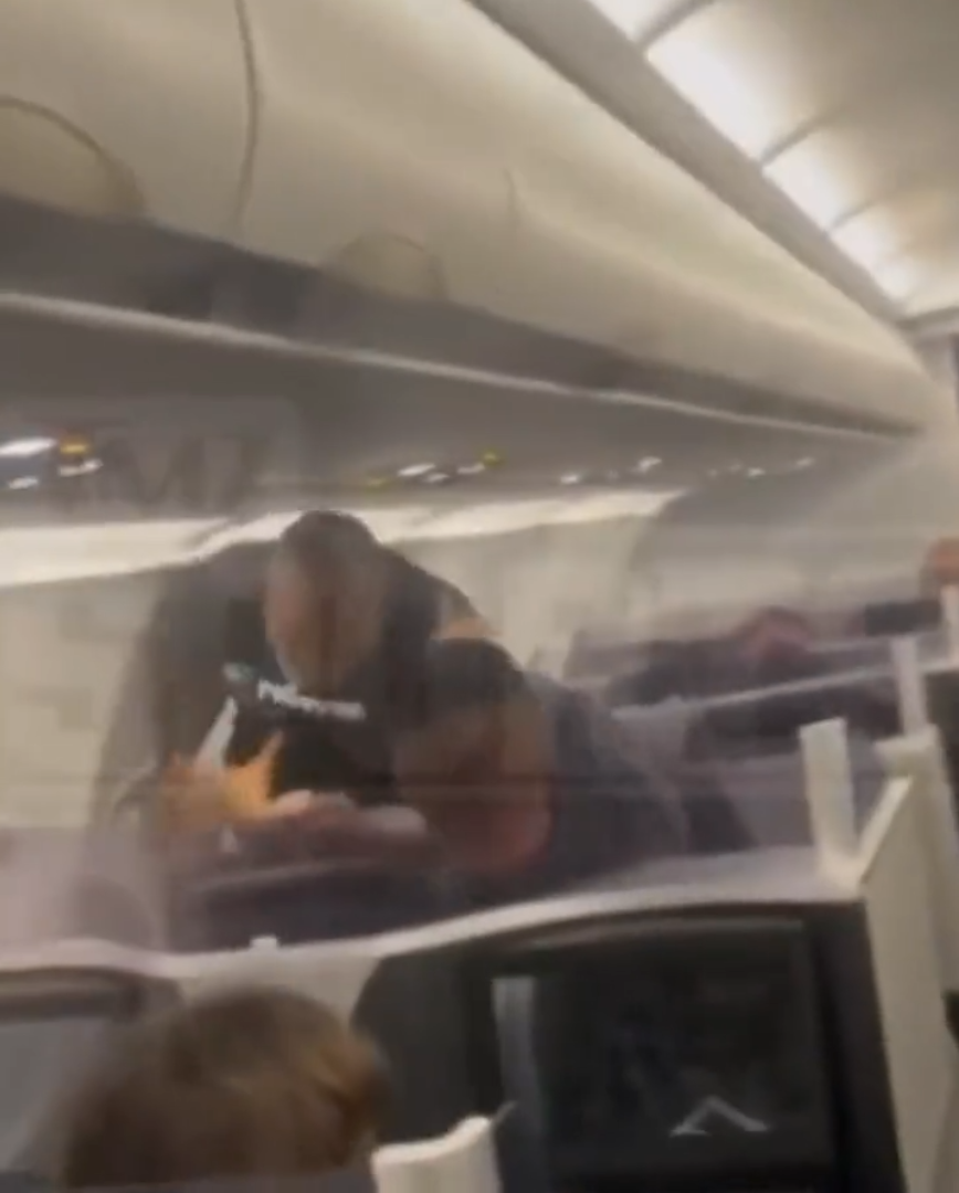 Mike Tyson scuffles with a man seated behind him on a recent JetBlue flight.
