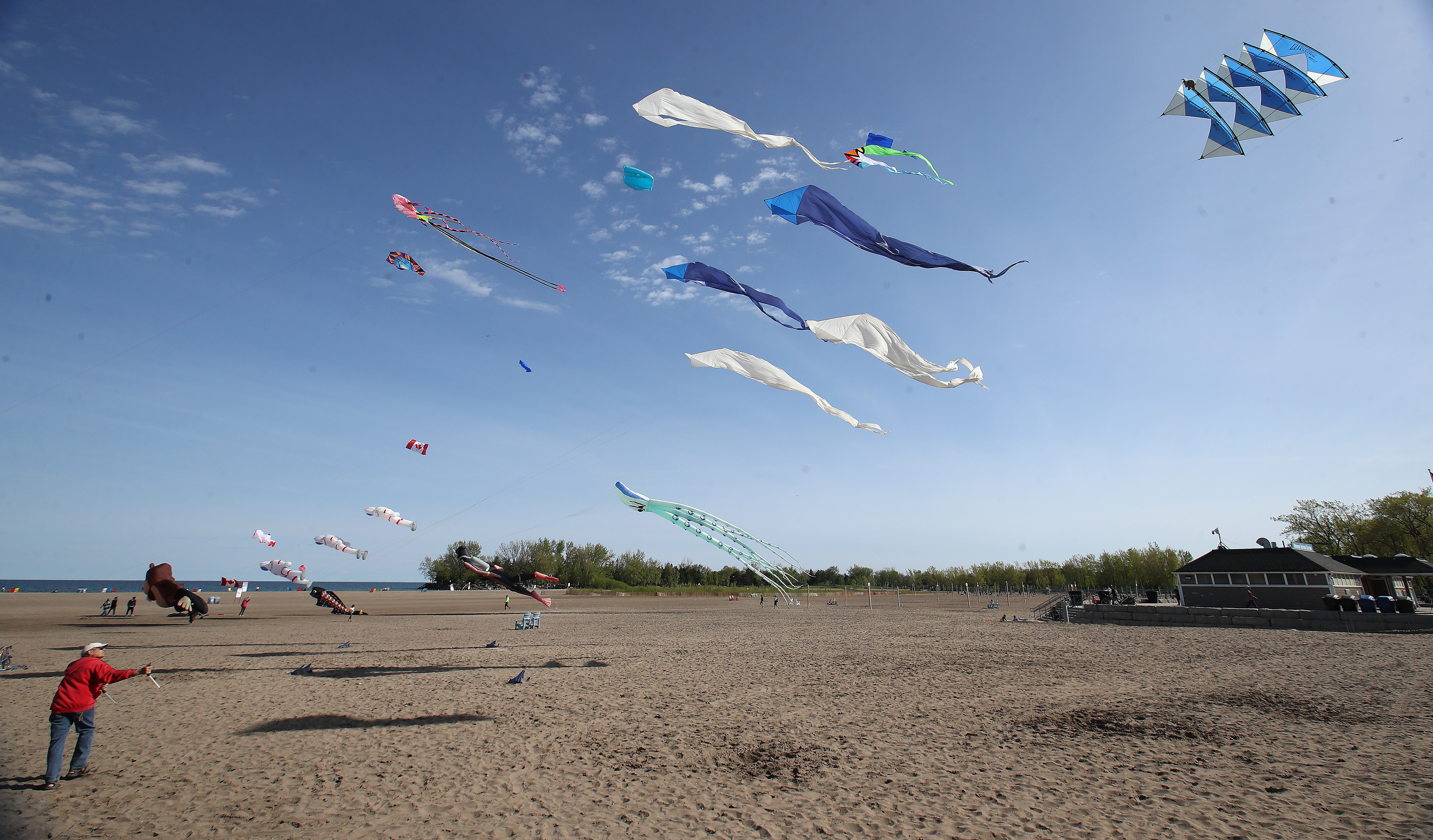 When the wind is right, members of Toronto Kite Flyers gather at the Woodbine Beach to fly their kites, high above the beach