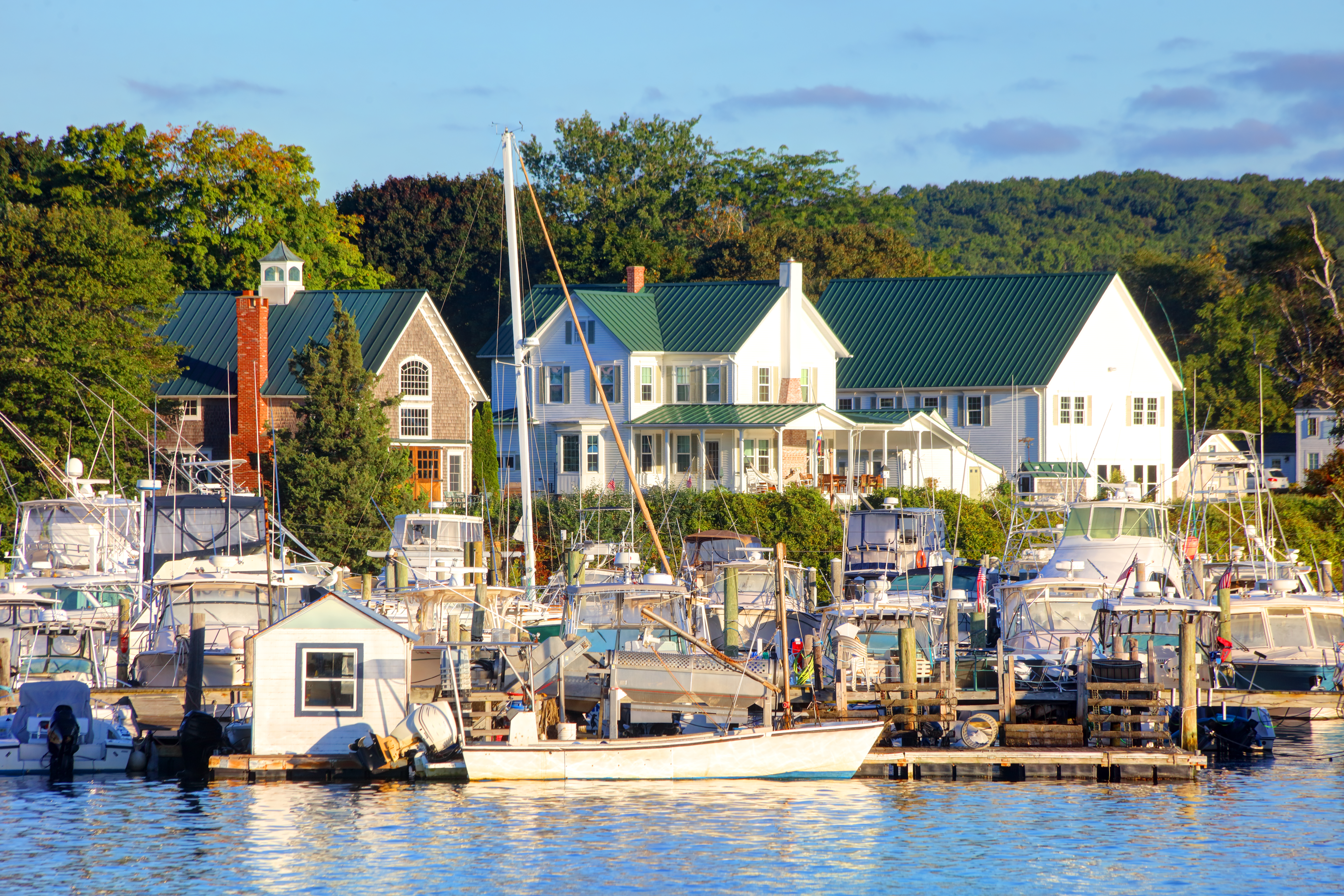 Houses on a New England shoreline, photographed on a sunny day.