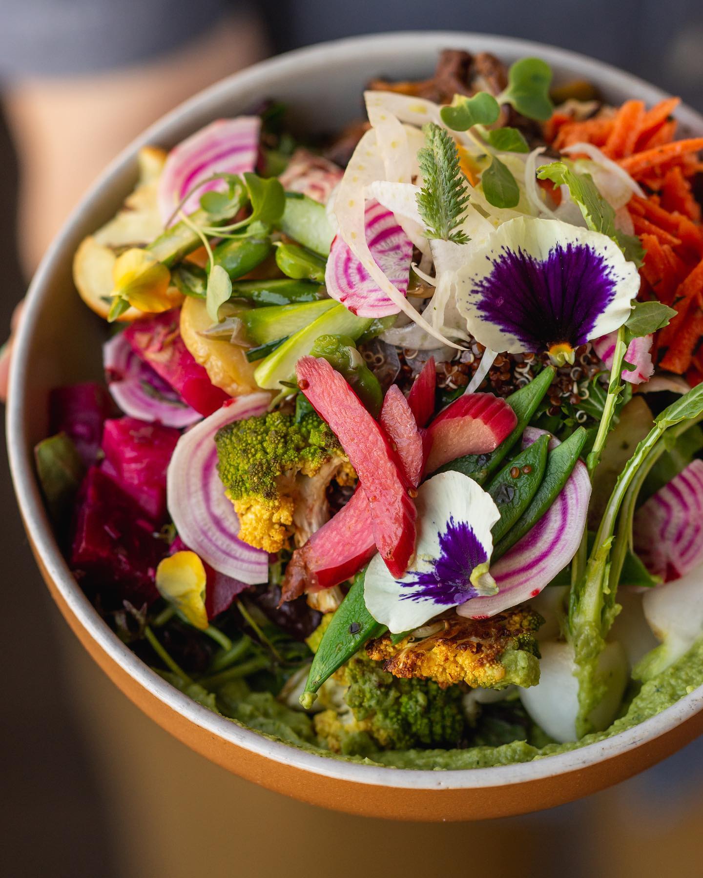 A picture of a Sugarpine Salad with pickled rhubarb, snap peas, radishes, and edible flowers.