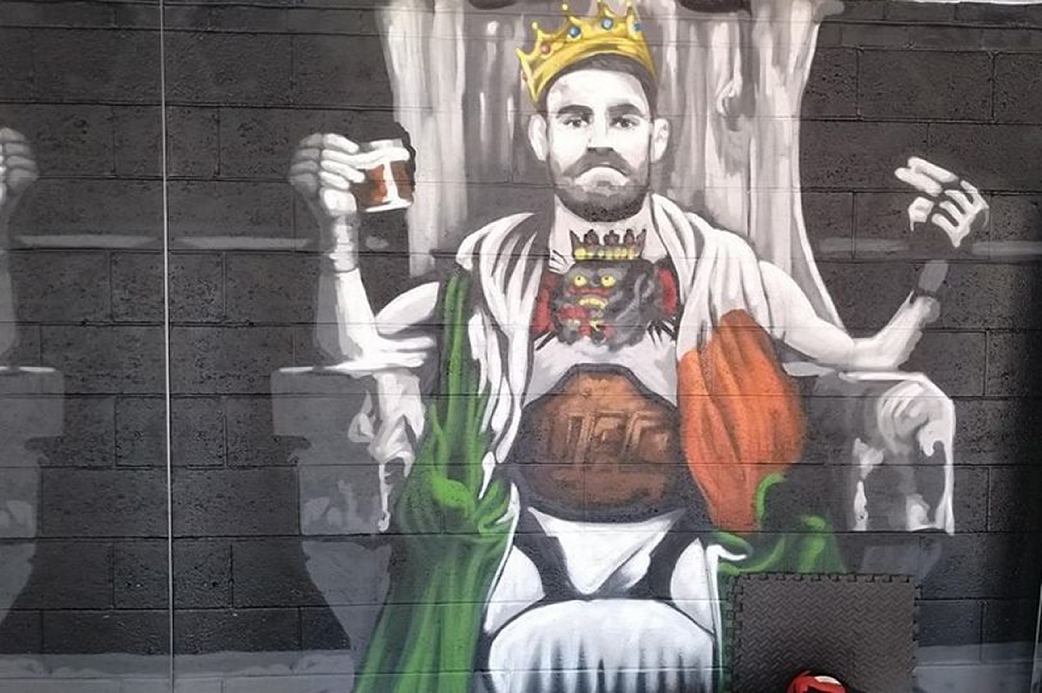 The Conor McGregor mural inside the home of convicted drug dealer Ryan Palin.