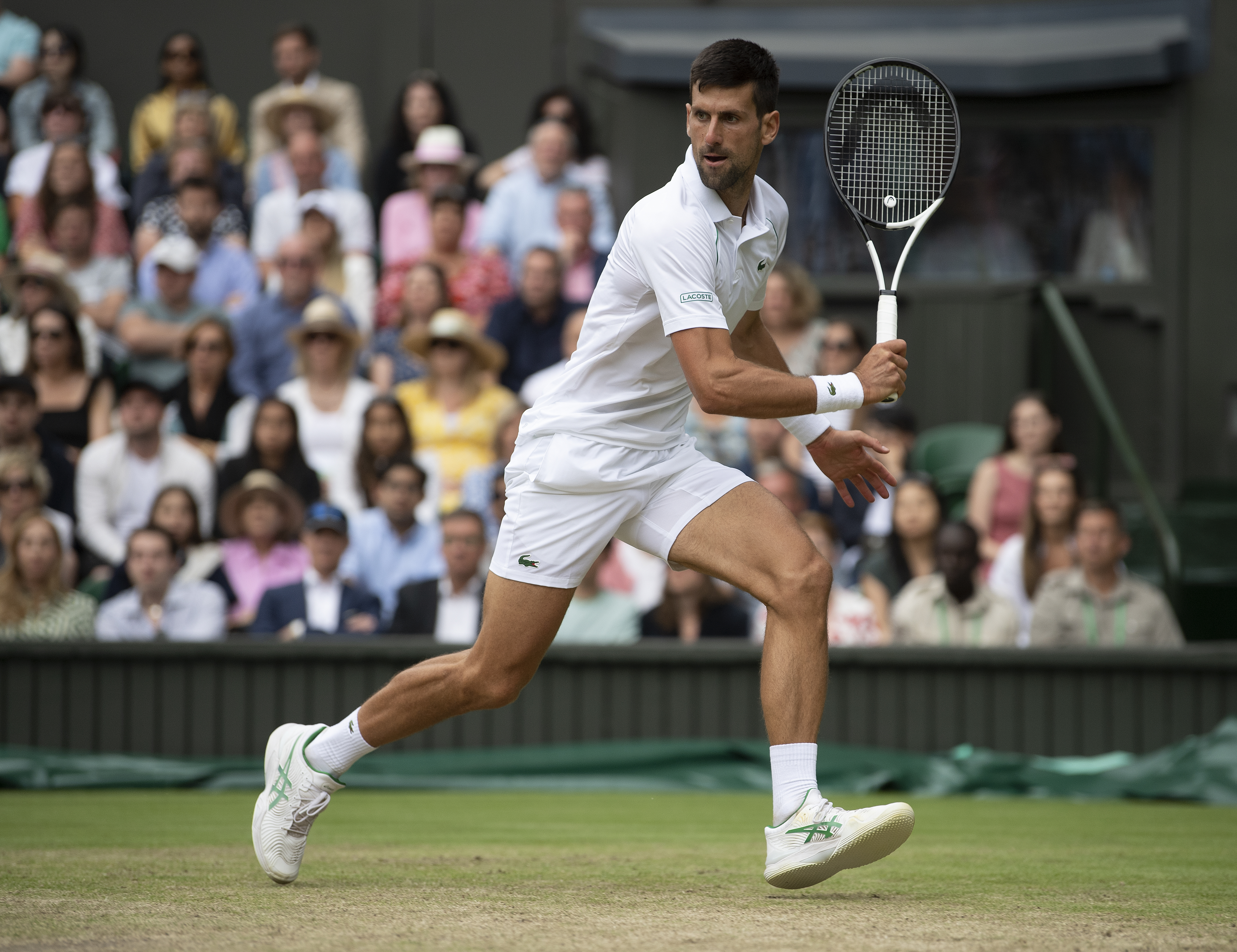 &nbsp;Novak Djokovic of Serbia during hia match against Jannik Sinner of Italy during their Men’s Singles Quarter Final match on day nine of The Championships Wimbledon 2022 at All England Lawn Tennis and Croquet Club on July 05, 2022 in London, England.