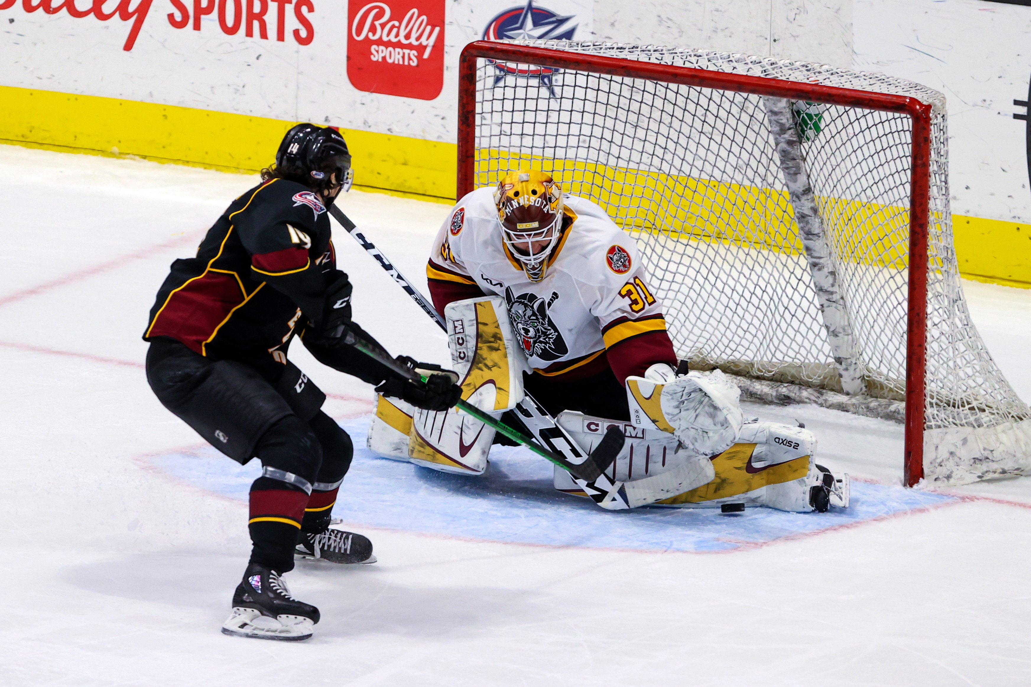 AHL: FEB 08 Chicago Wolves at Cleveland Monsters