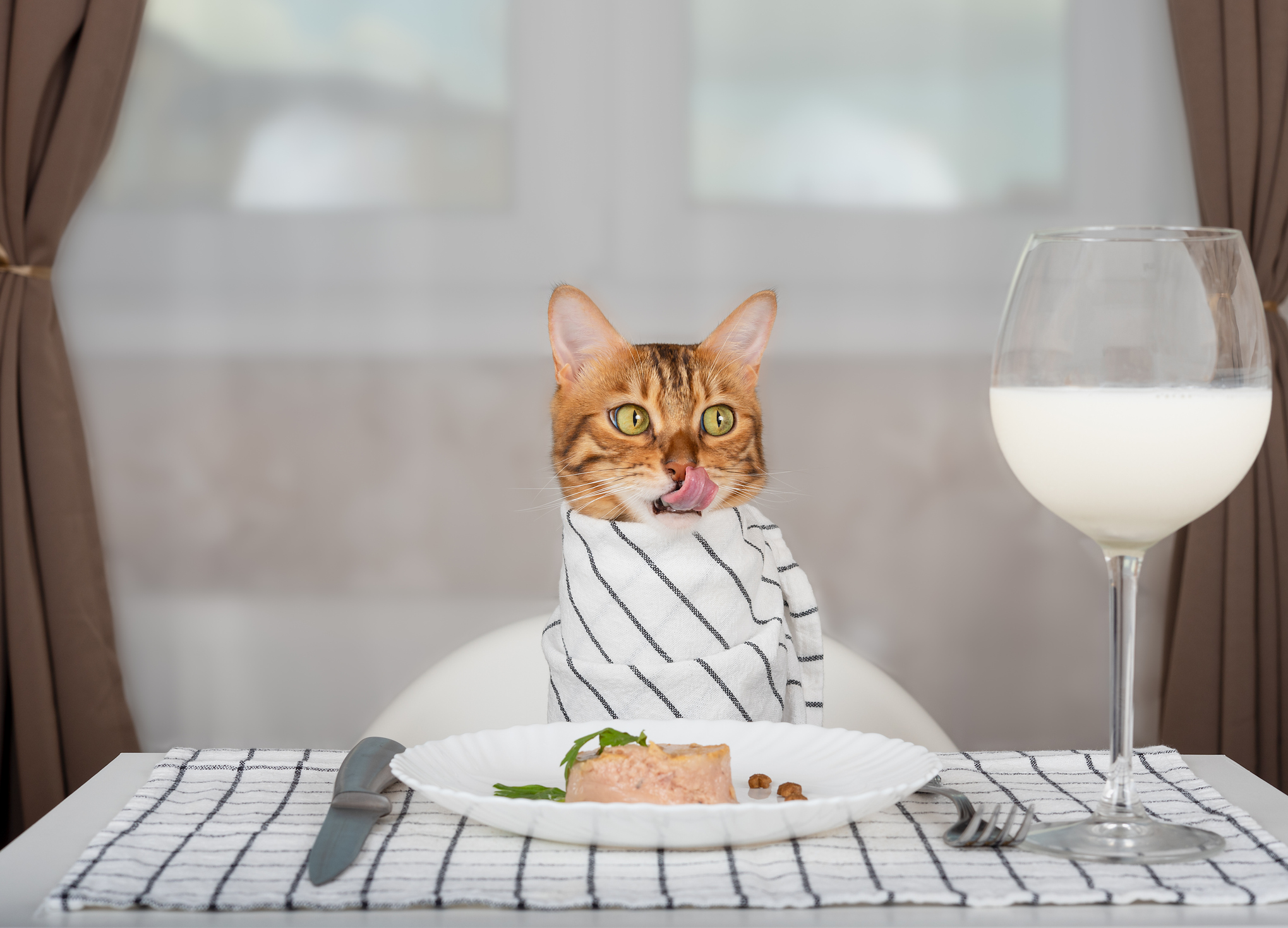 A cat sits in a chair at table dressed in a tablecloth with Fancy Feast on the plate and a wine glass full of milk.