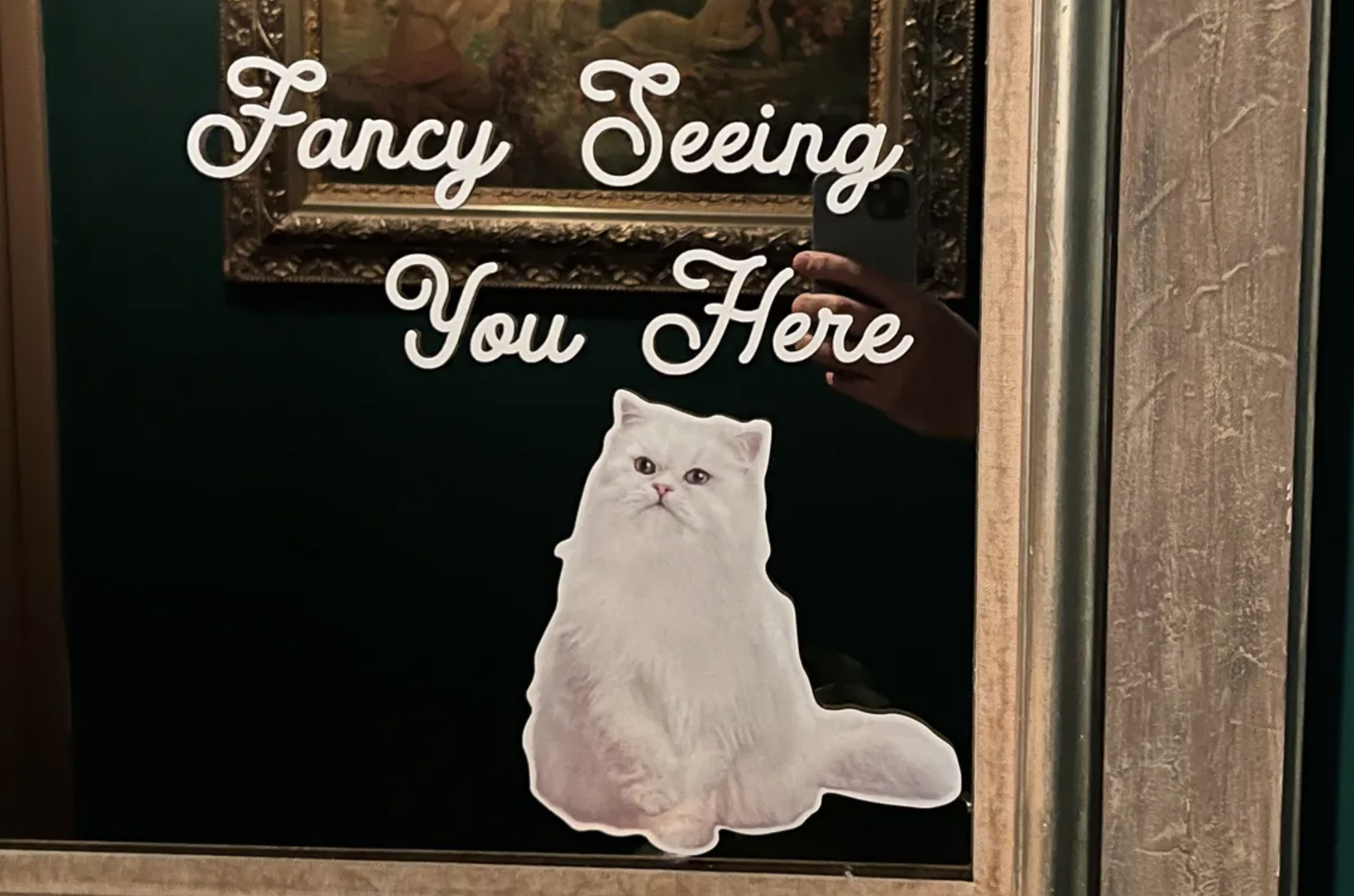 Mirror reading “Fancy Seeing You Here” in script; underneath an image of a white cat looks upward.