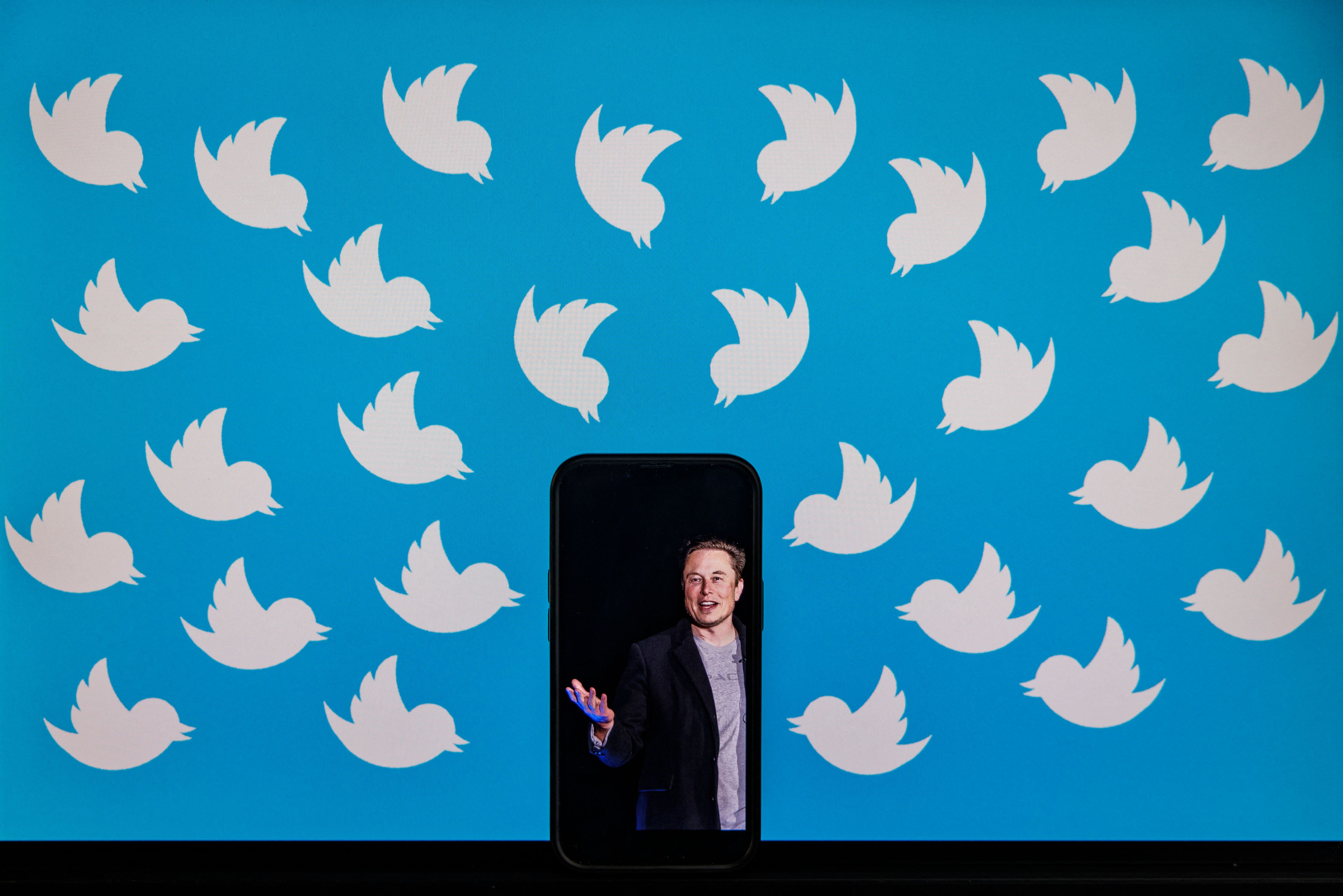 A phone displaying a photo of Elon Musk against a blue background filled with white Twitter bird logos.