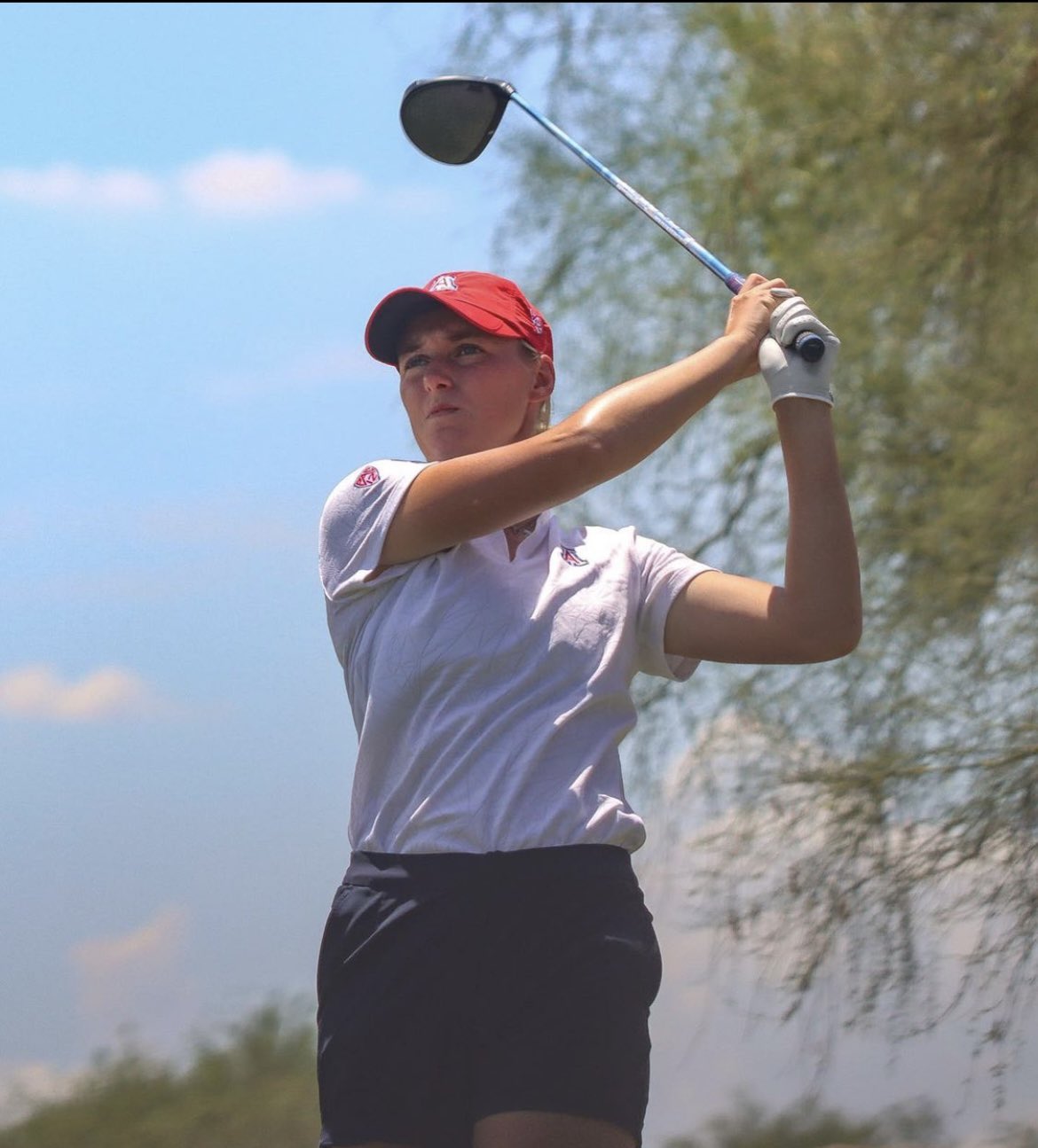 wildcat-wrap-schedules-arizona-wildcats-cross-country-swimming-and-diving-awomens-golf