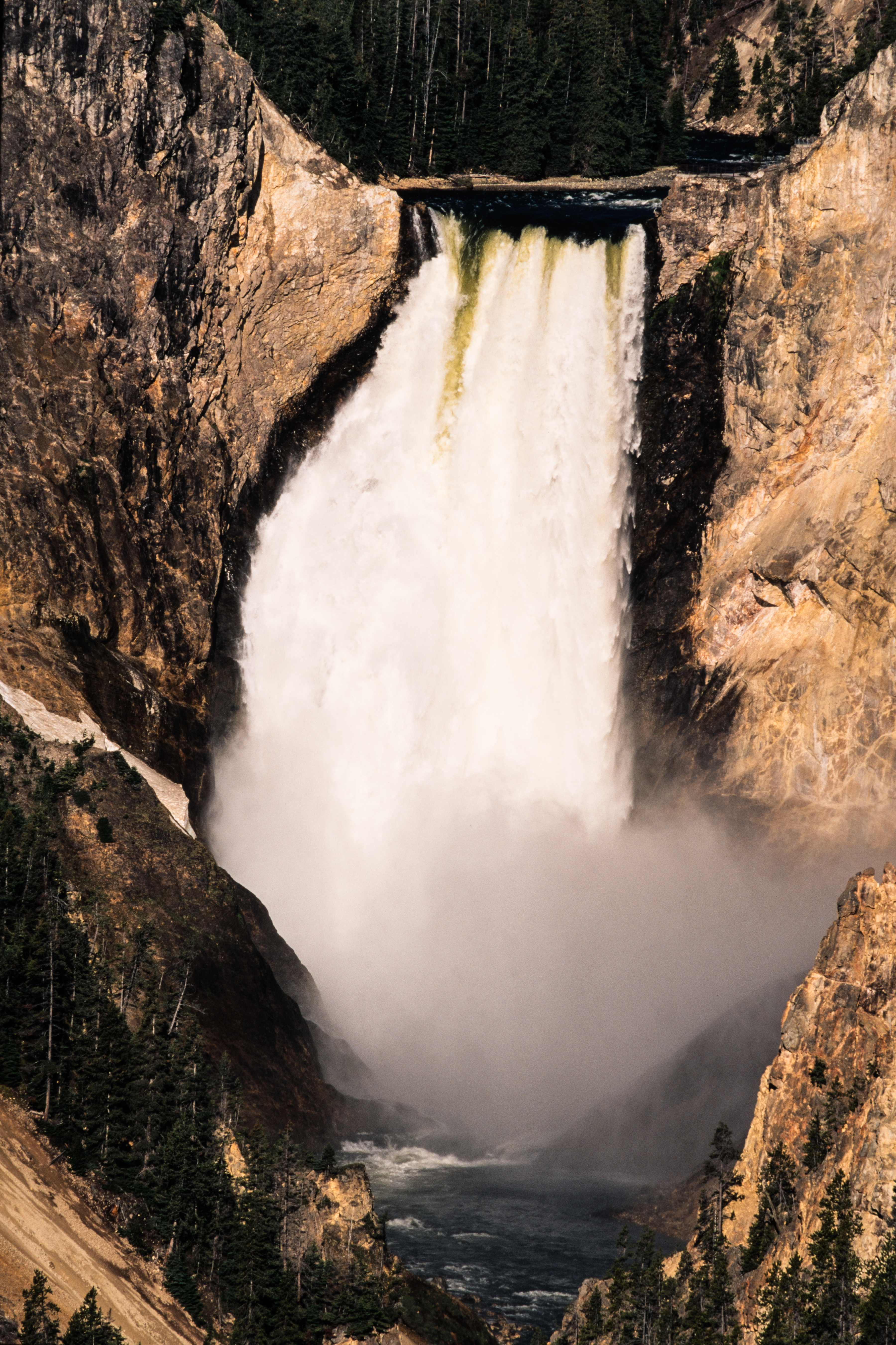 The Lower Falls in the Grand Canyon of the Yellowstone River in Yellowstone National Park in Wyoming, USA.