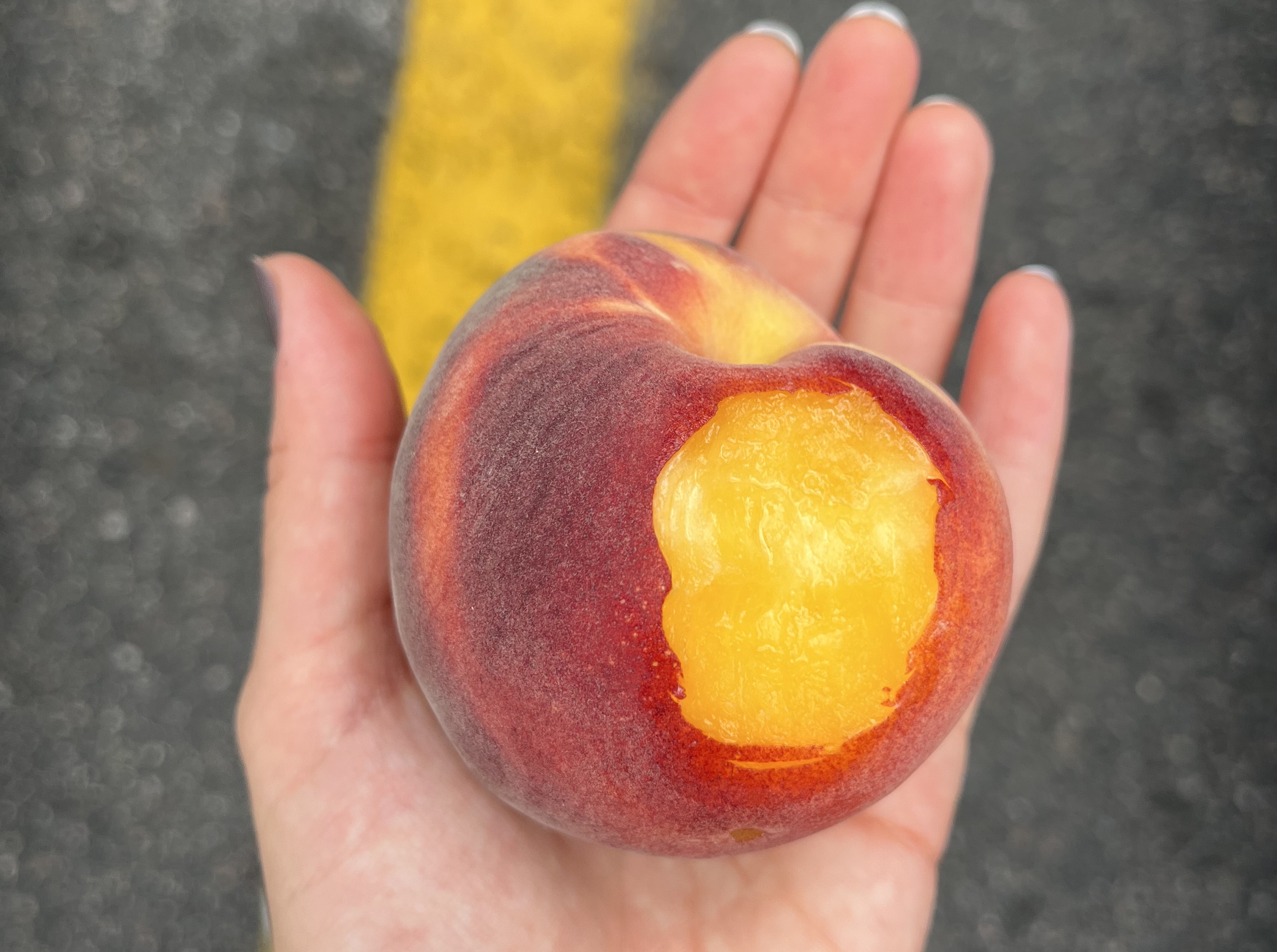 A hand holds a yellow peach with a bite taken out of it above an asphalt rode with a yellow dividing line. 