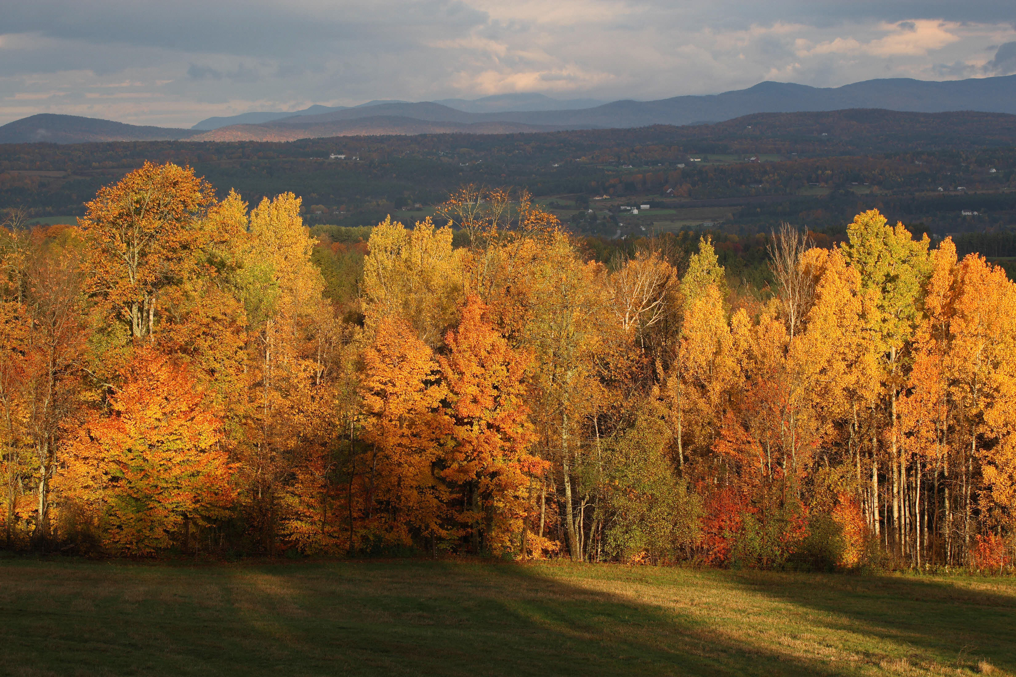With the Green Mountains in the background, the rising sun illuminates a stand of trees as leaves show their fall colors, 20 October 2007, in this view from the Comstock House bed &amp; breakfast/farm in Plainfield, Vermont, near Montpelier. The National Weather Service reports that temperatures in Burlington, north of Montpelier, have been above average during September and October for the past four years, except for October 2004, when tempratures were 0.2 degrees below average. 
