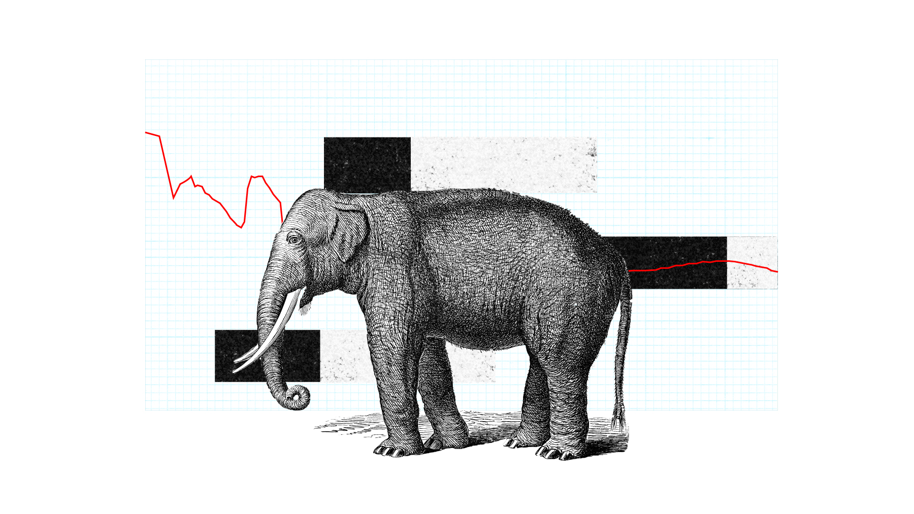 An illustration of an elephant standing in front of stylized line charts.