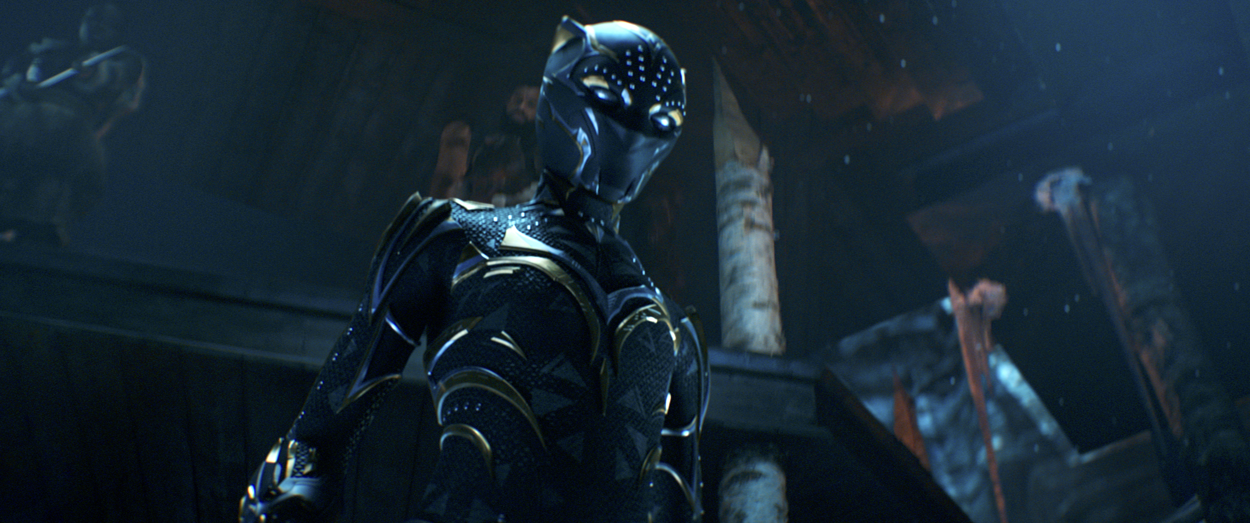 A female Black Panther stands up in a suit with a bejeweled mask