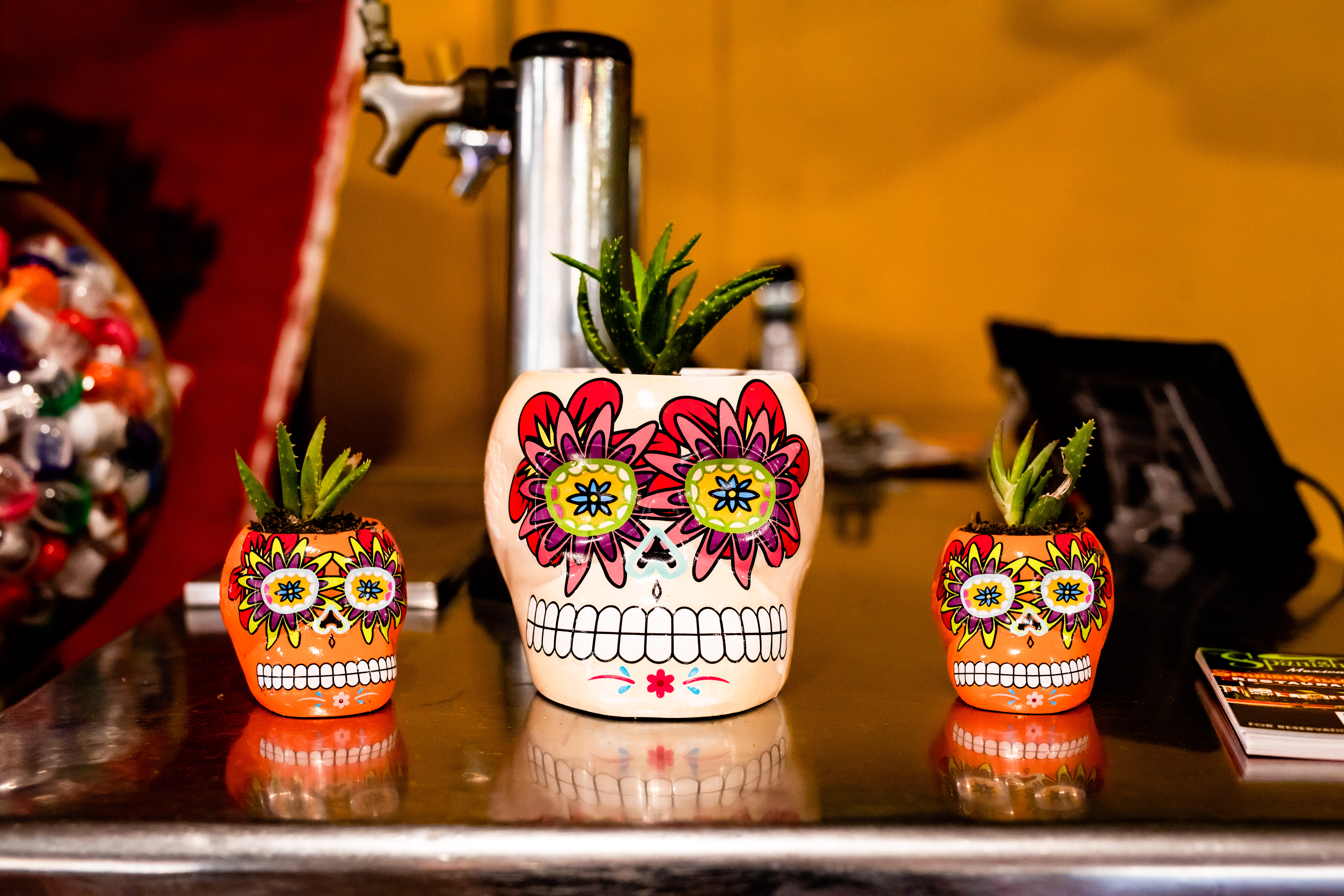 Planter pots decorated with skulls at Spanish Village.