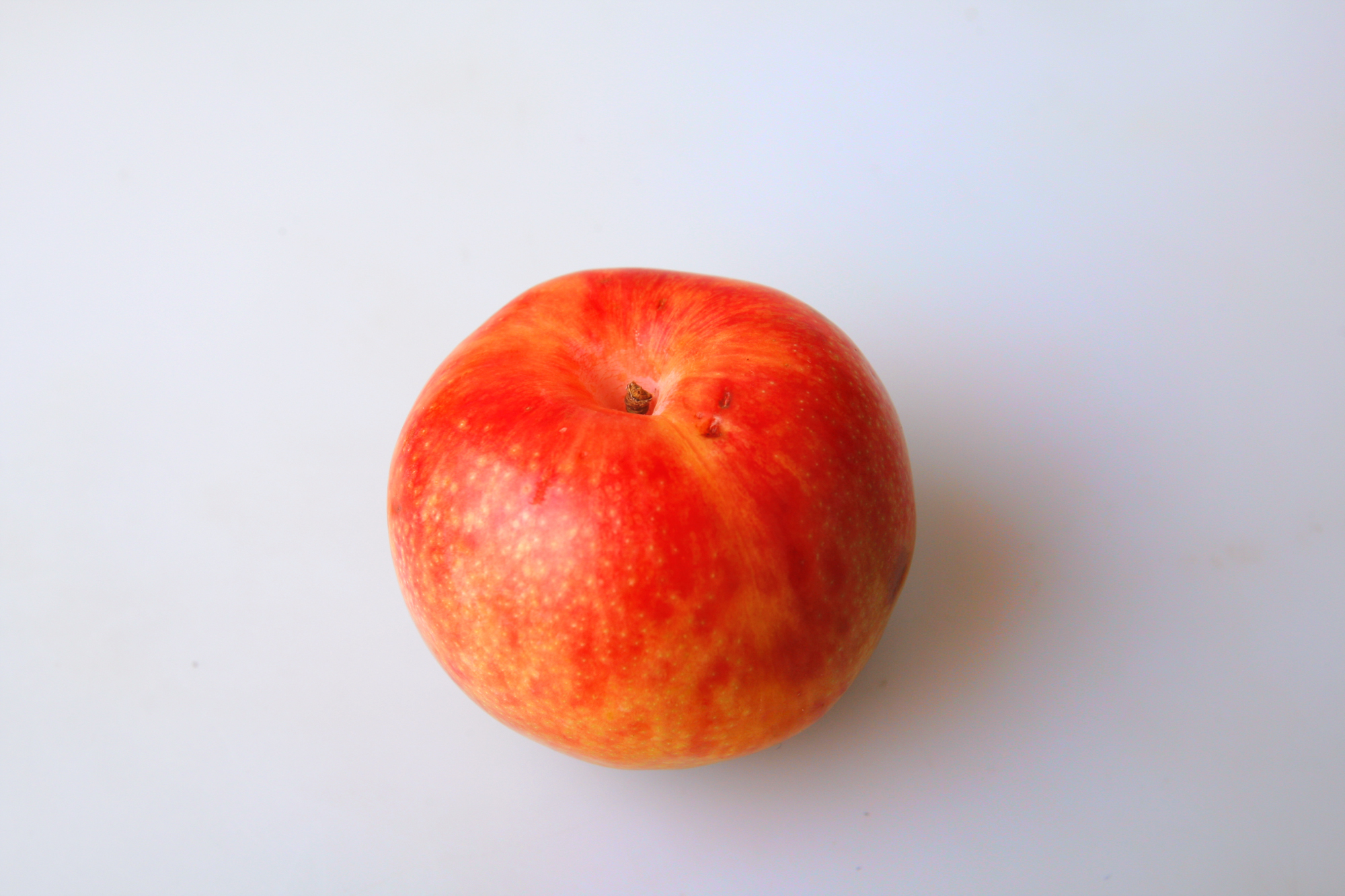 Sweet Pluot — A cornucopia of delights, this.
