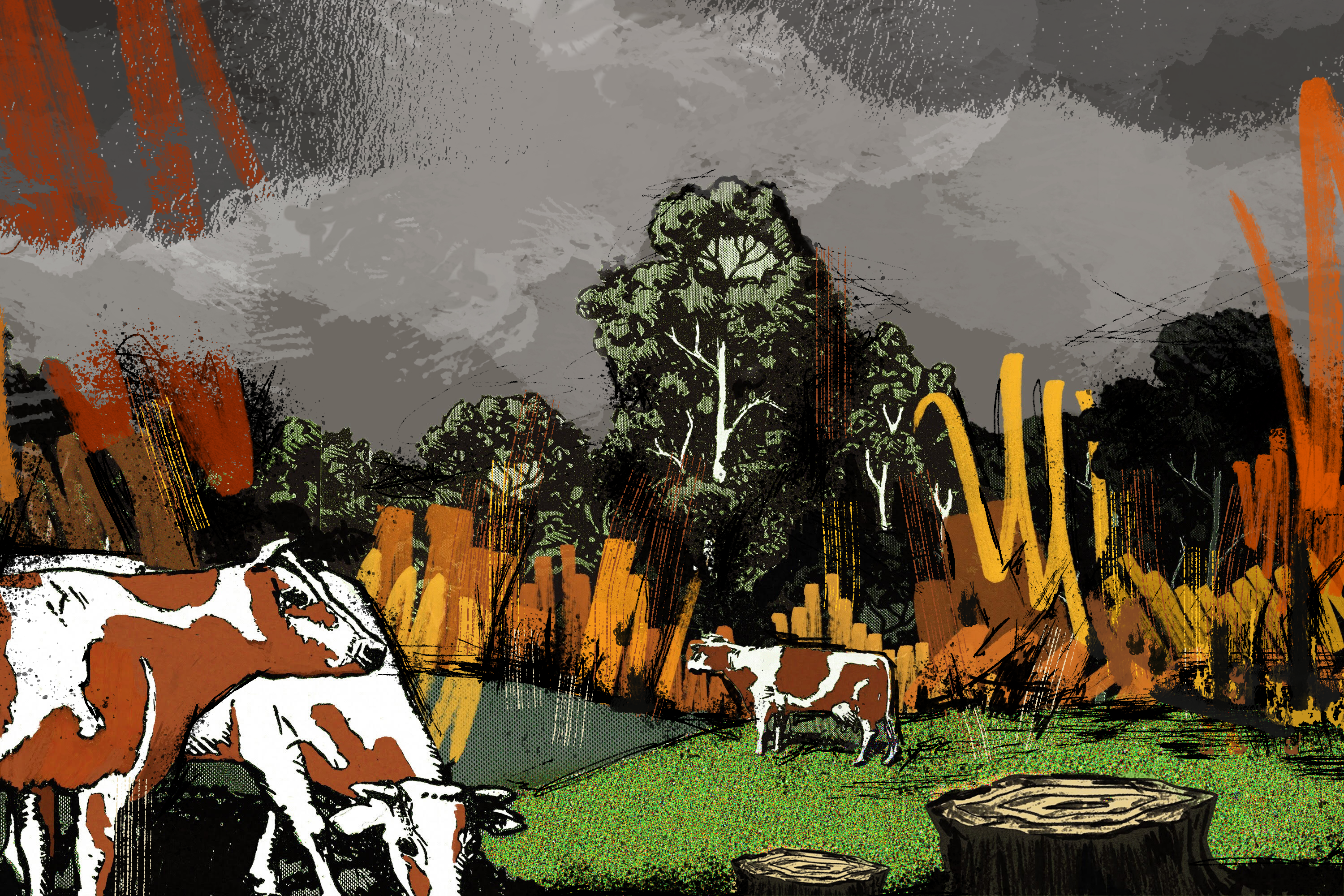 A drawing of cattle on the edge of a forest.