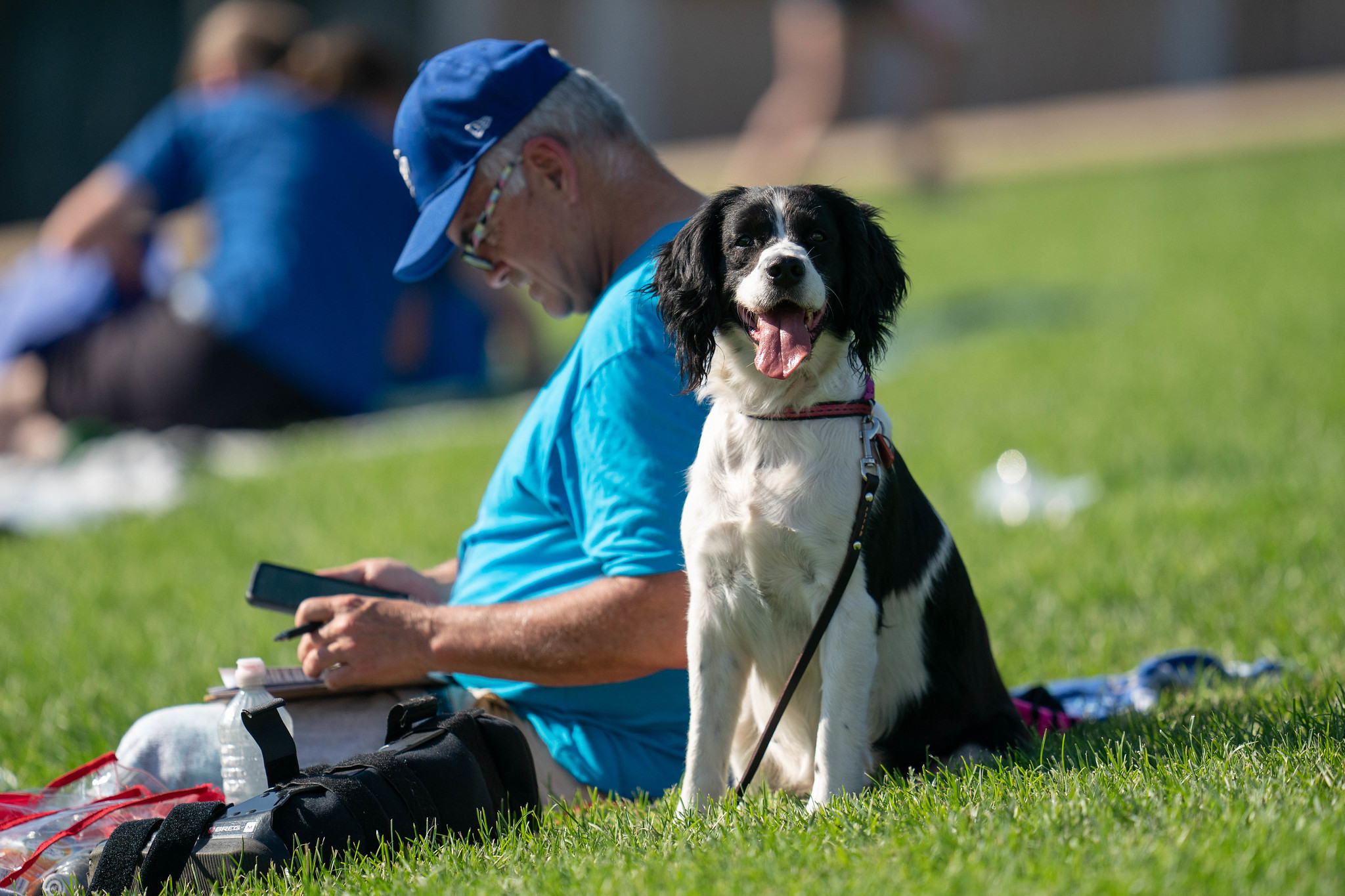 A black-and-white dog with longer fur on their ears sits up straight, next to a man in a blue t-shirt who is sitting facing away. Both are sitting in grass.
