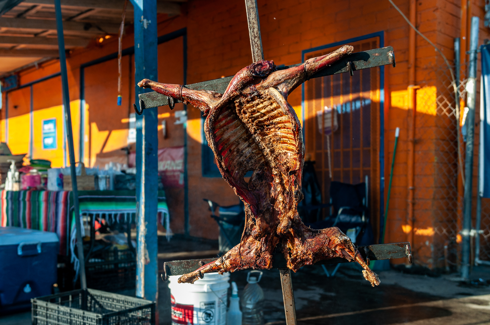 A goat mounted and roasted on a metal tube.