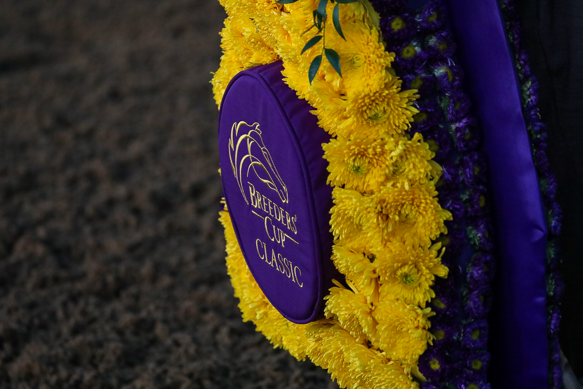 The Breeders’ Cup Classic blanket of flowers before being draped over Authentic during the 37th Breeders Cup World Championship at Keeneland Race Track.