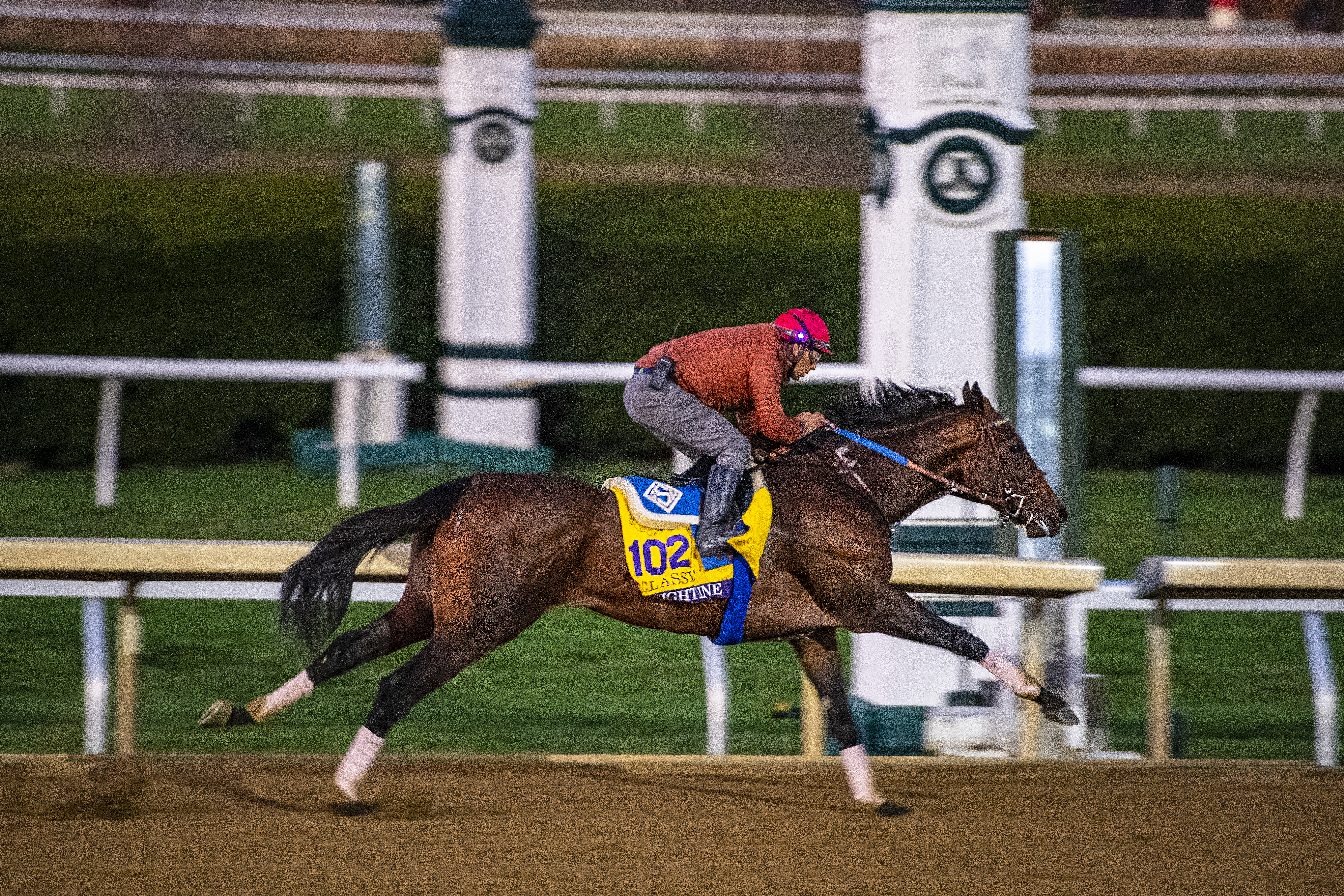 Flightline in his final work in preparation for the 2022 Breeders Cup Classic at Keeneland Race Course on October 29, 2022 in Lexington, Kentucky.